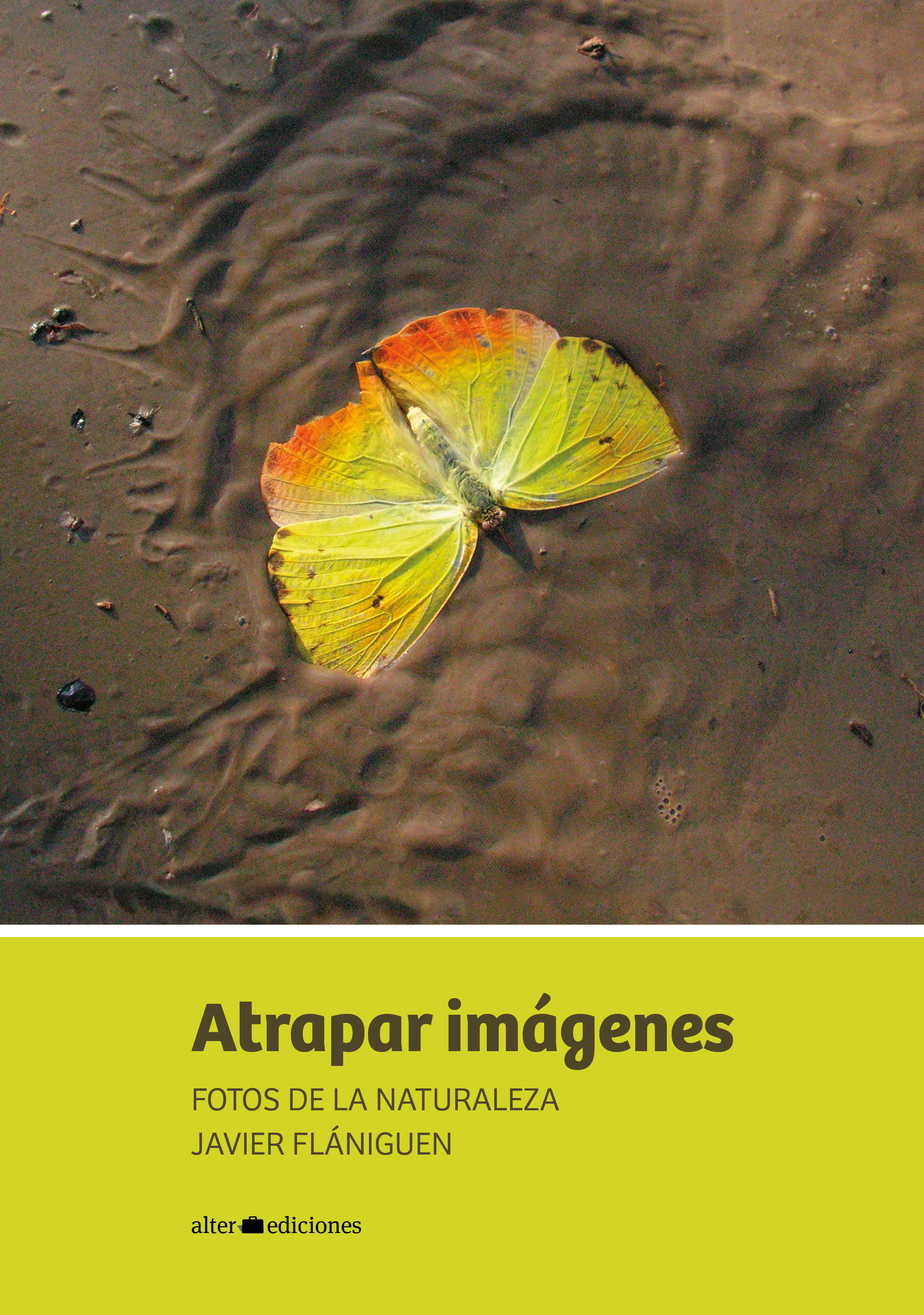 Обложка книги «Atrapar imágenes»