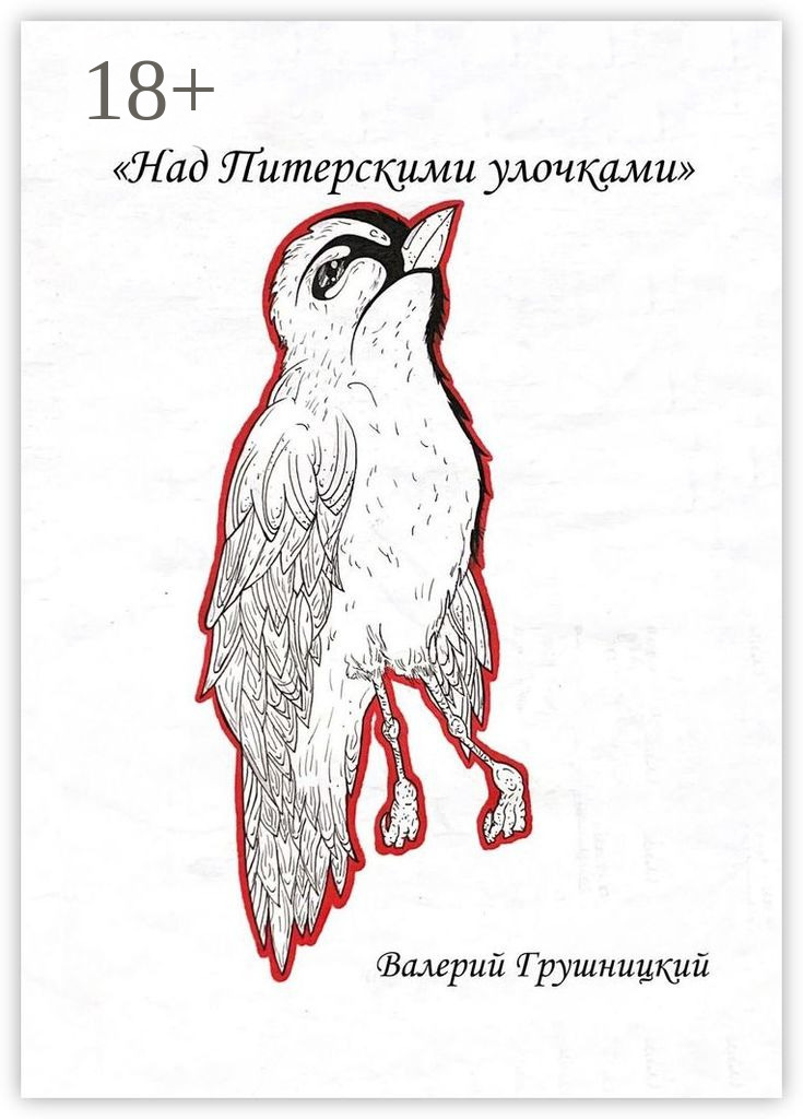 Обложка книги «Над питерскими улочками»