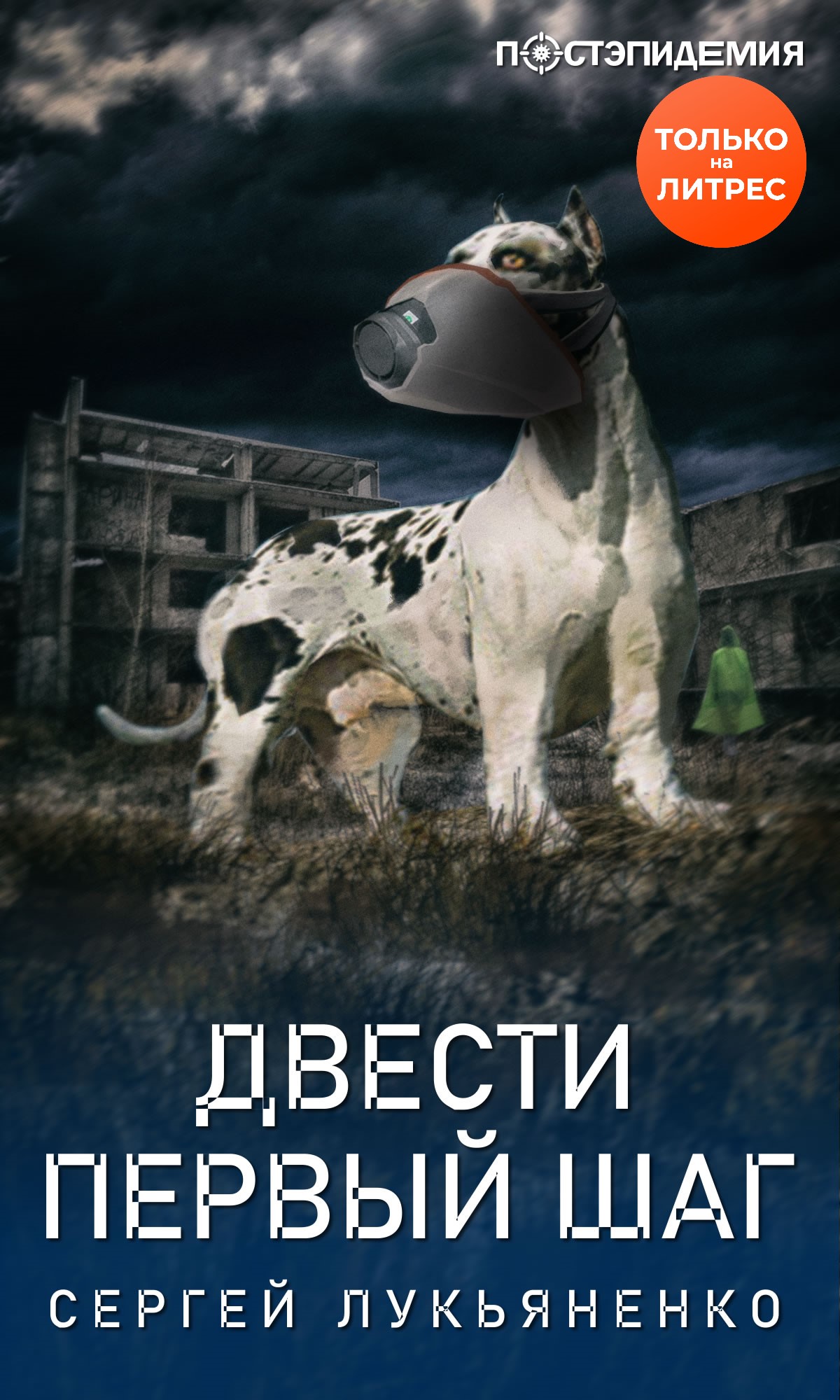 Обложка книги «Двести первый шаг»