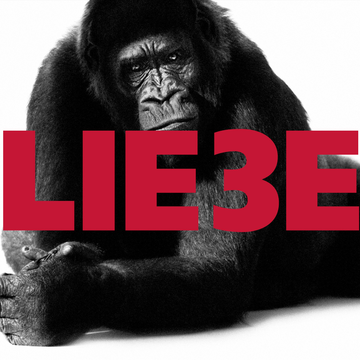 Обложка книги «Hagen Rether, Liebe 3»
