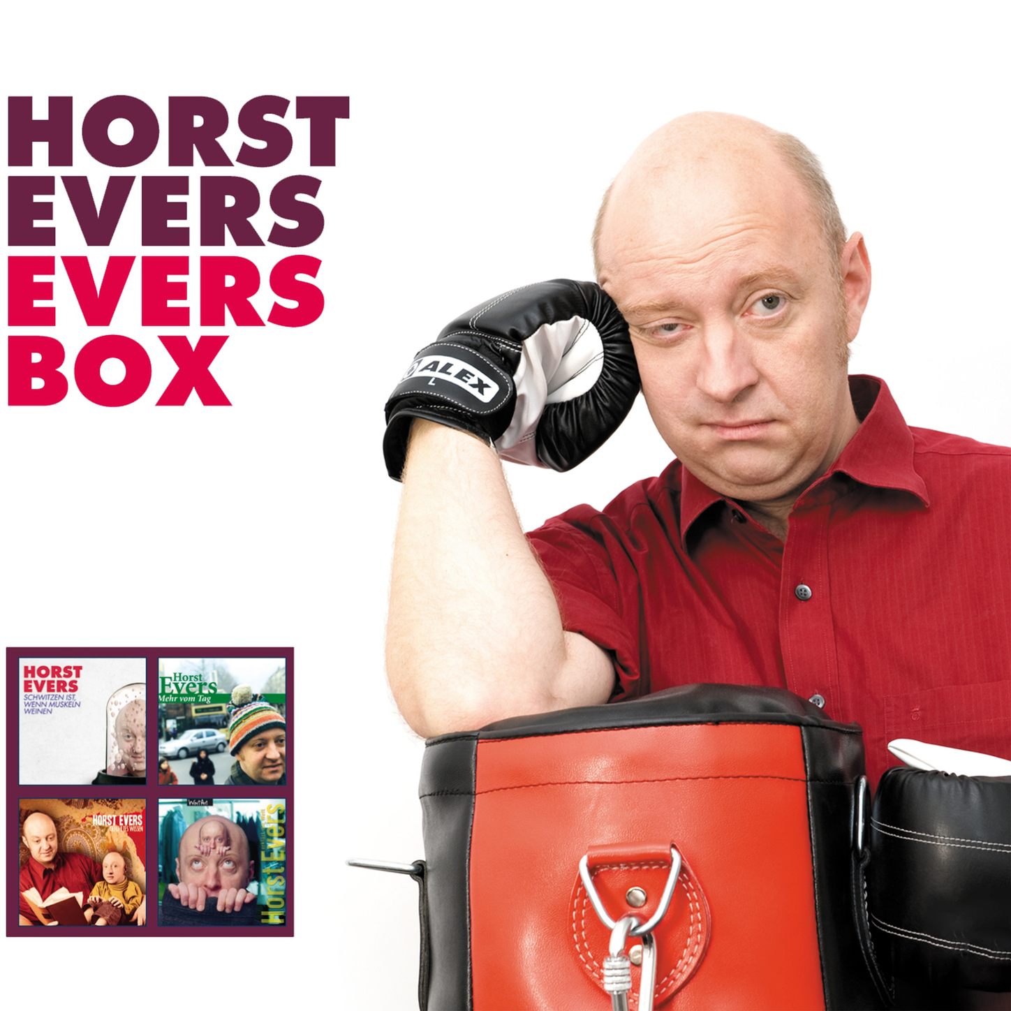 Обложка книги «Horst Evers, Die Box»