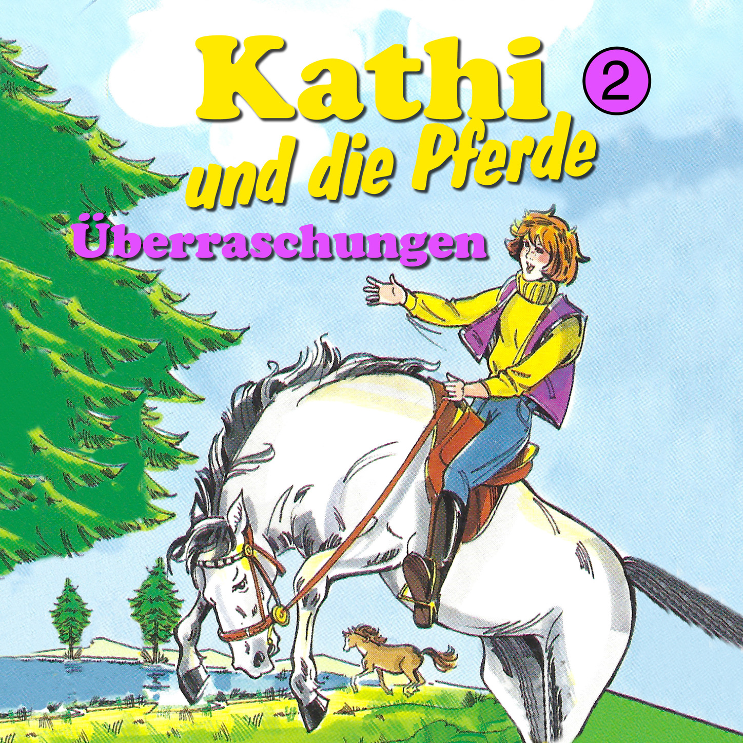 Обложка книги «Kathi und die Pferde, Folge 2: Überraschungen»
