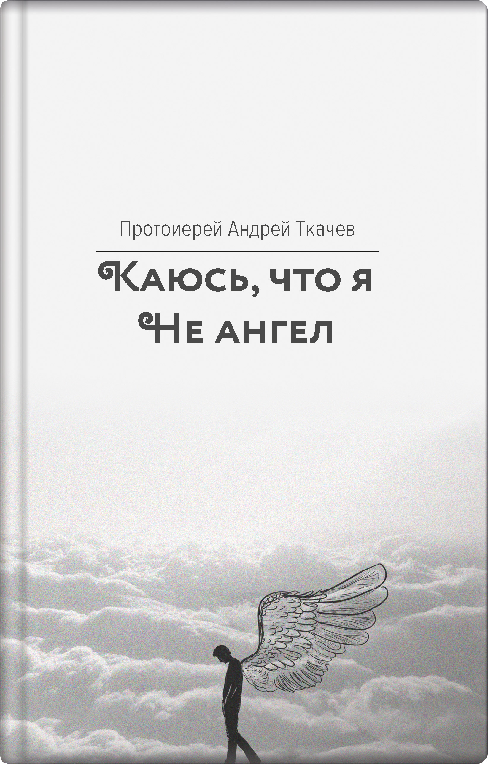 Обложка книги «Каюсь, что я не ангел»