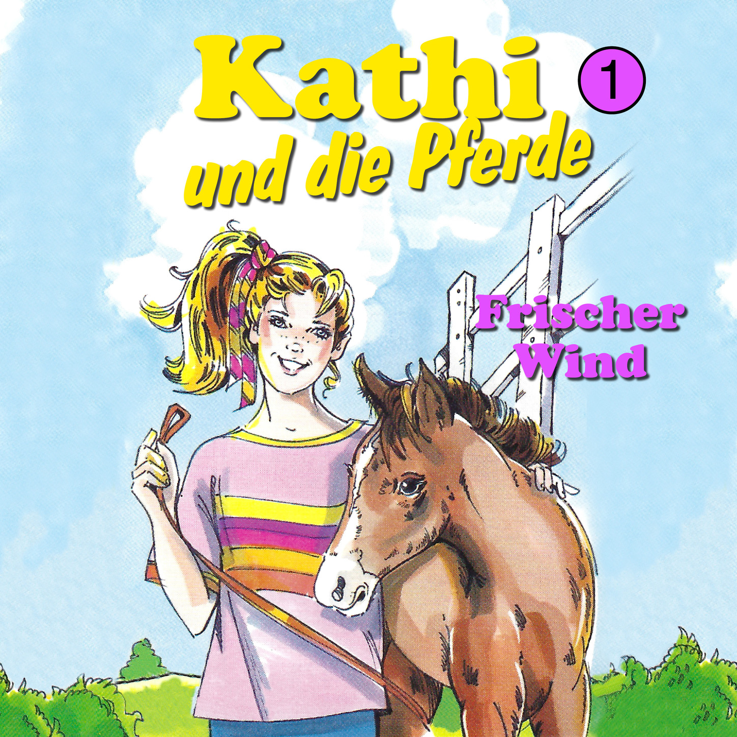 Обложка книги «Kathi und die Pferde, Folge 1: Frischer Wind»