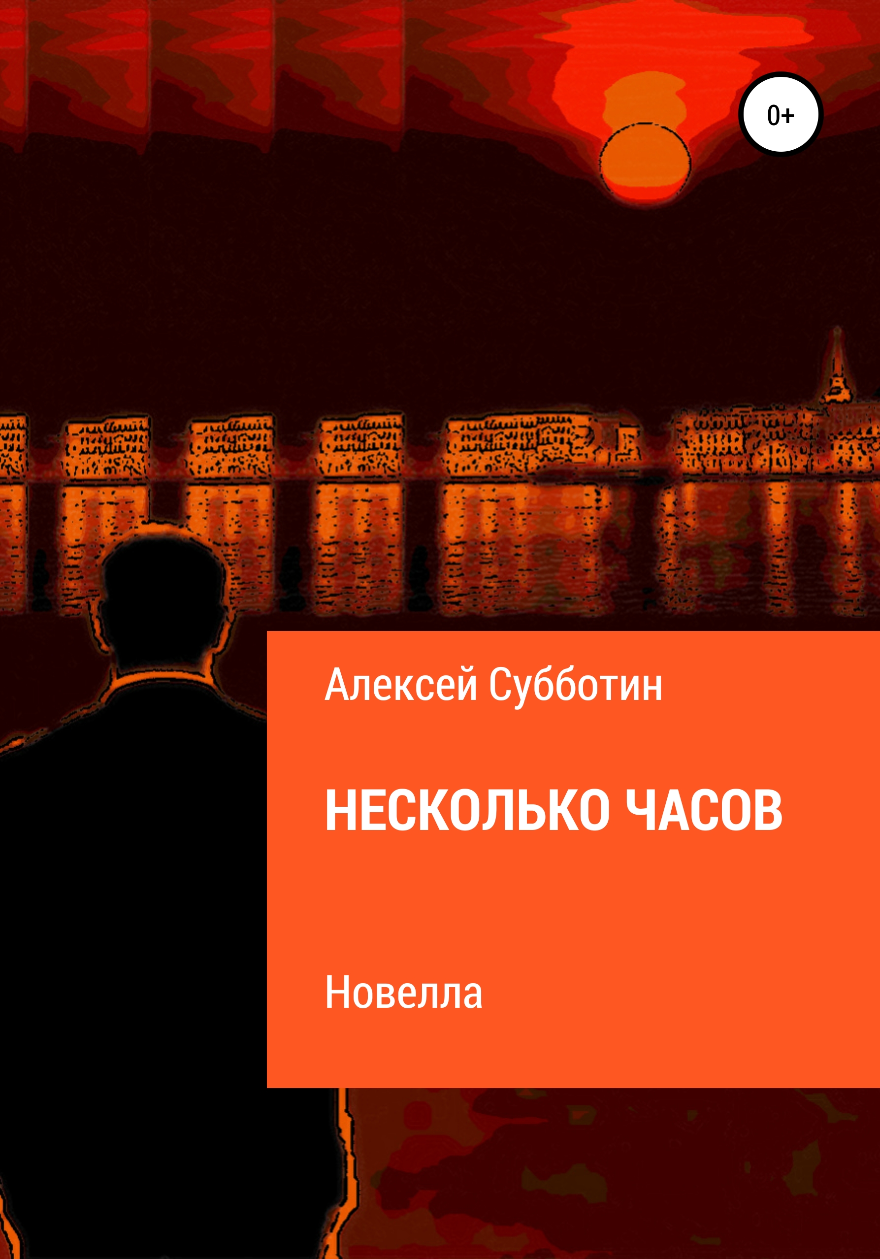 Обложка книги «Несколько часов»