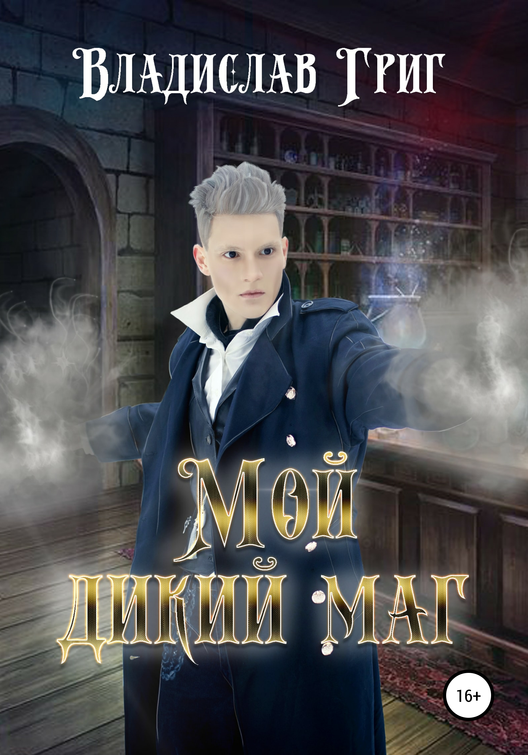 Обложка книги «Мой дикий маг»