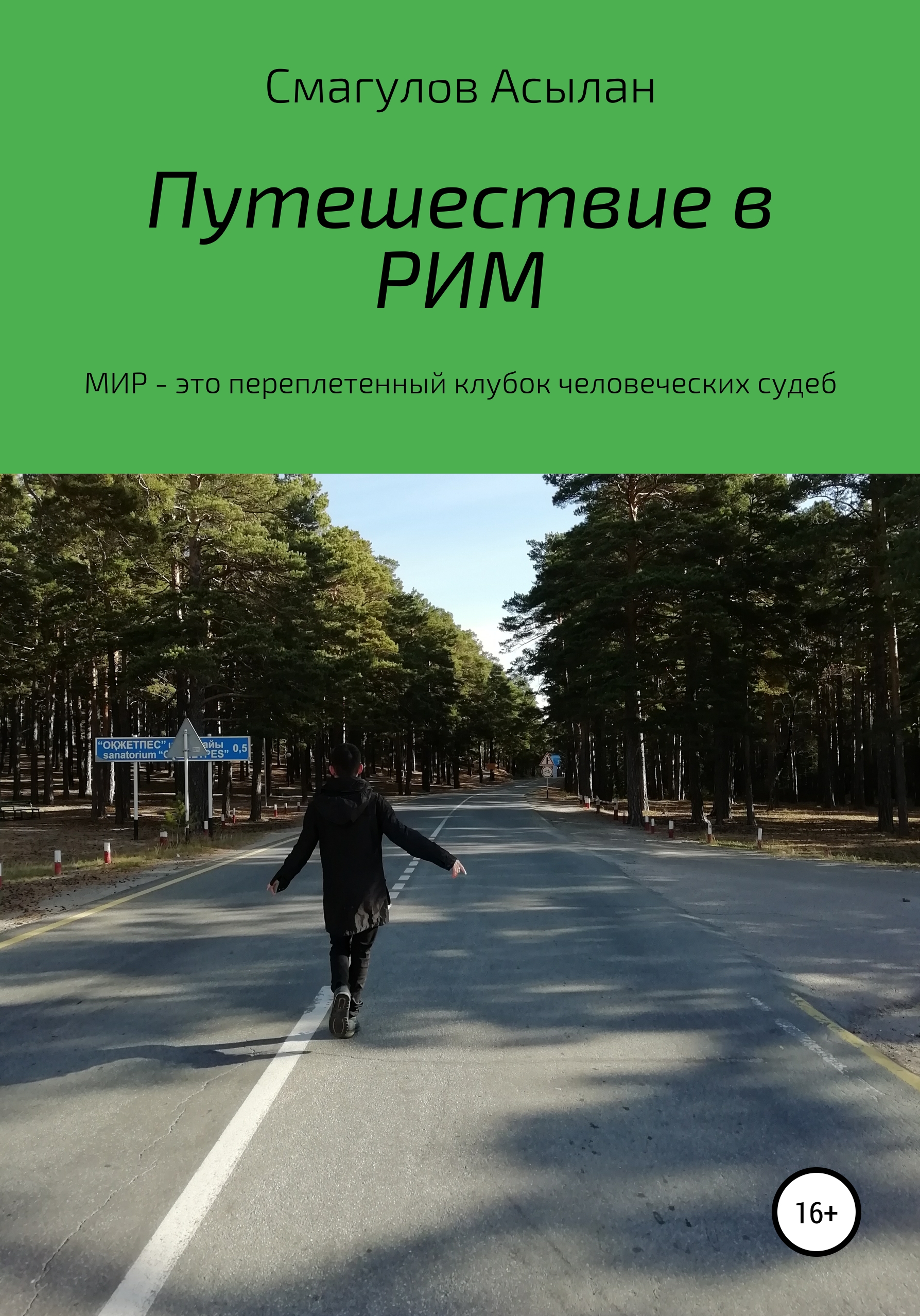 Обложка книги «Путешествие в Рим»