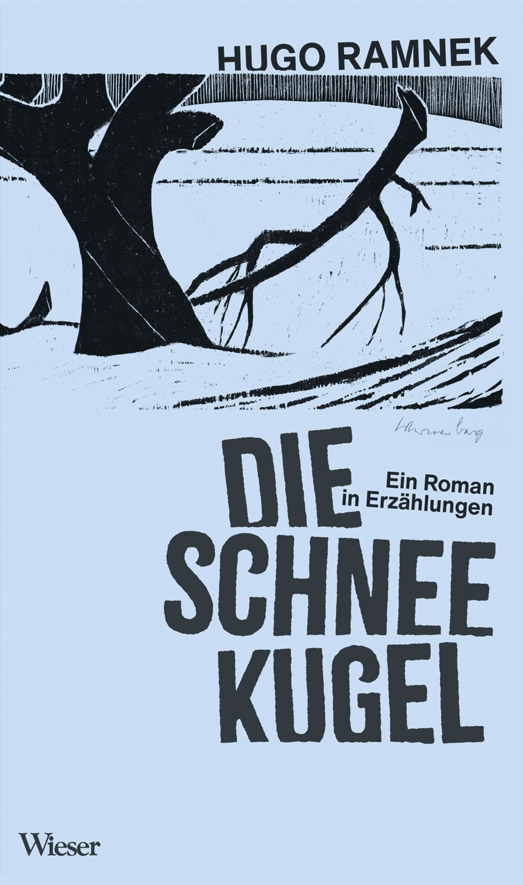 Обложка книги «Die Schneekugel»
