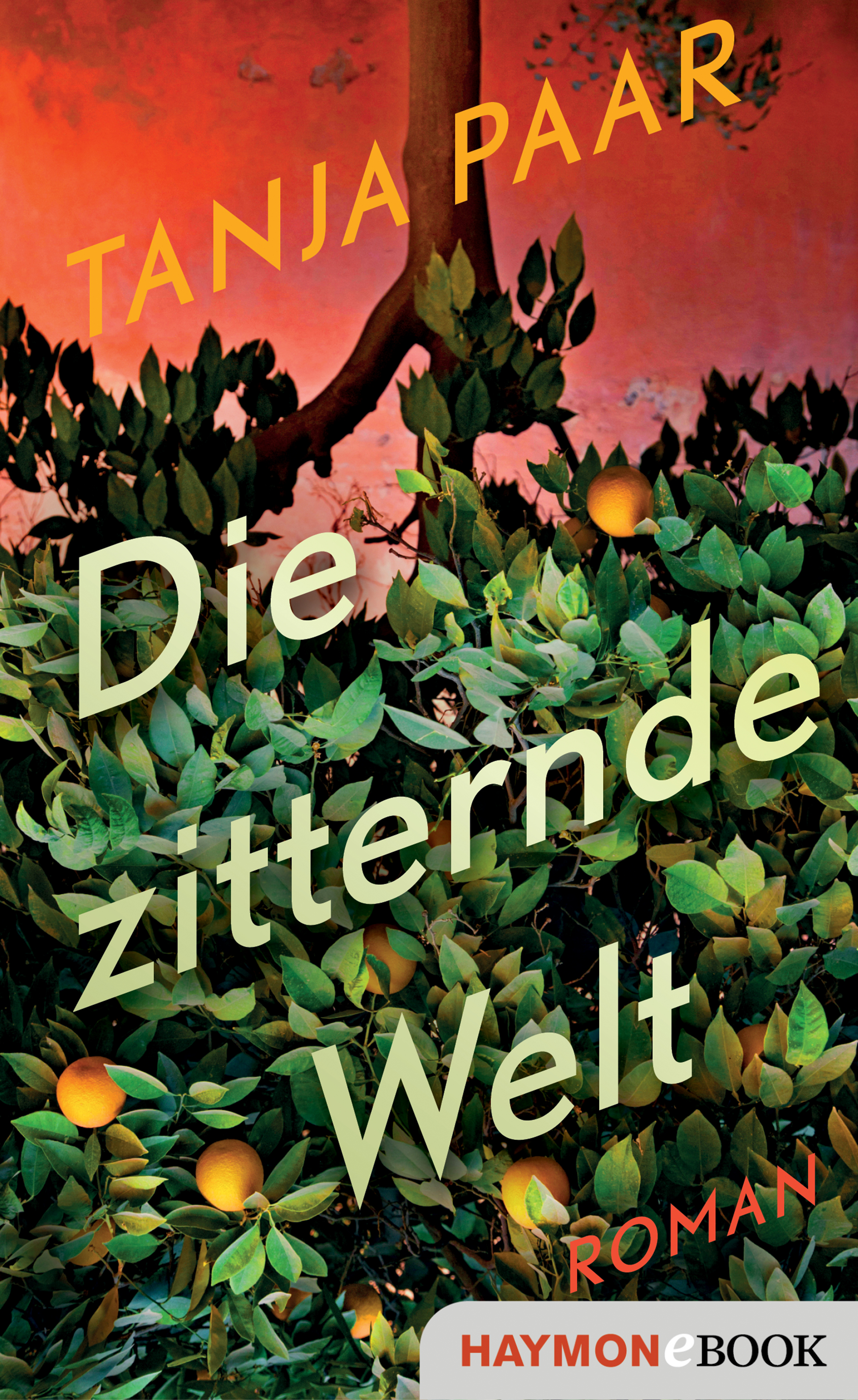 Обложка книги «Die zitternde Welt»