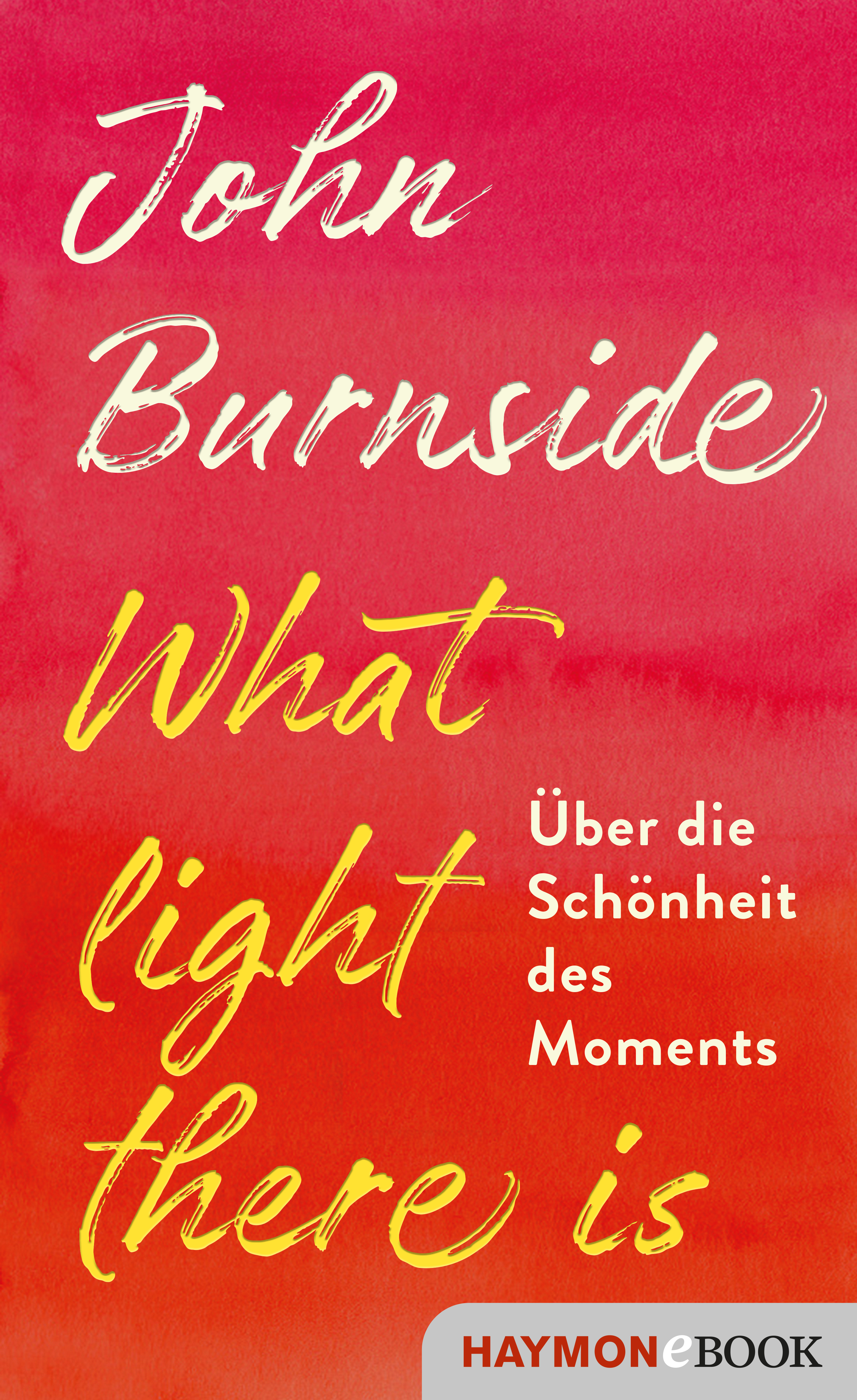 Обложка книги «What light there is»