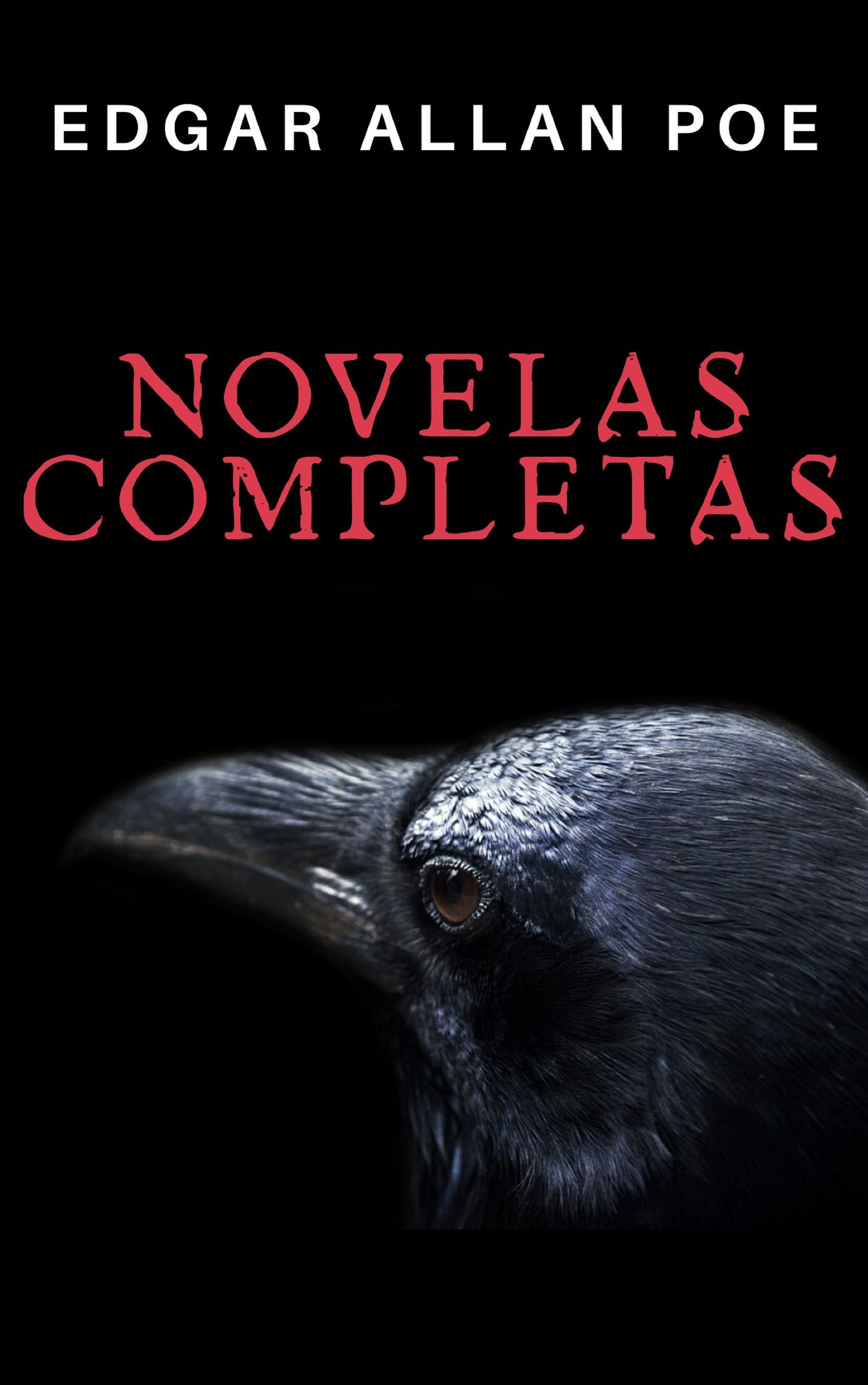 Обложка книги «Edgar Allan Poe: Novelas Completas»