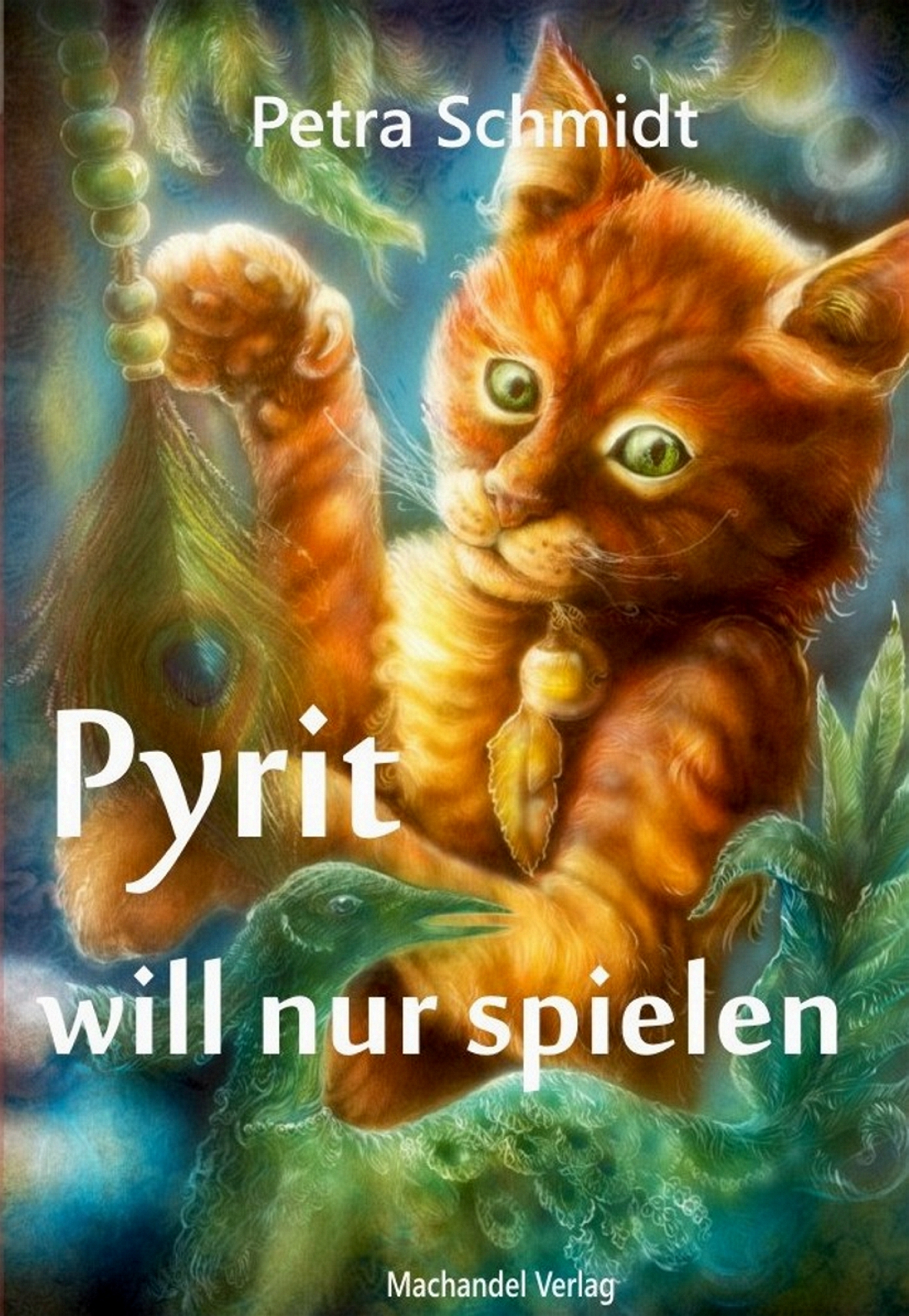 Обложка книги «Pyrit will nur spielen»