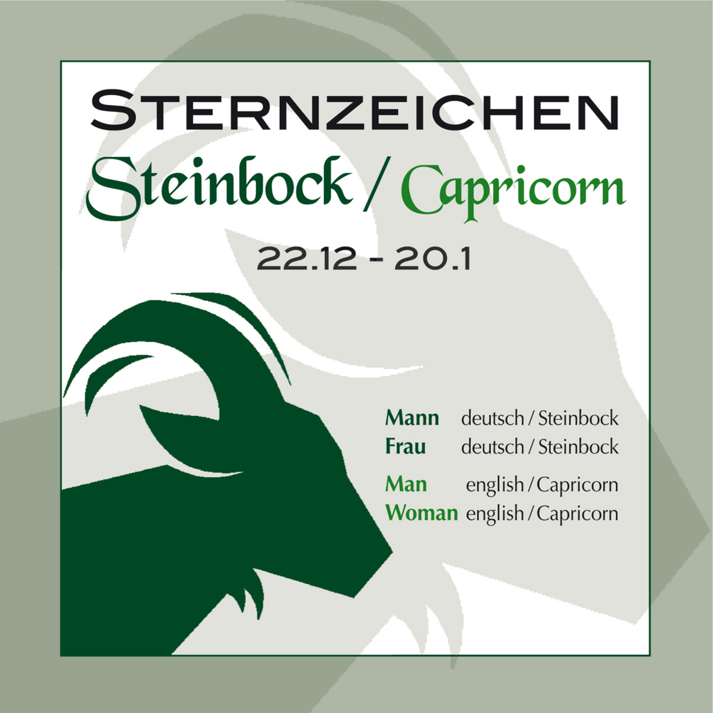 Обложка книги «Sternzeichen Steinbock 22,12,-20,1,»