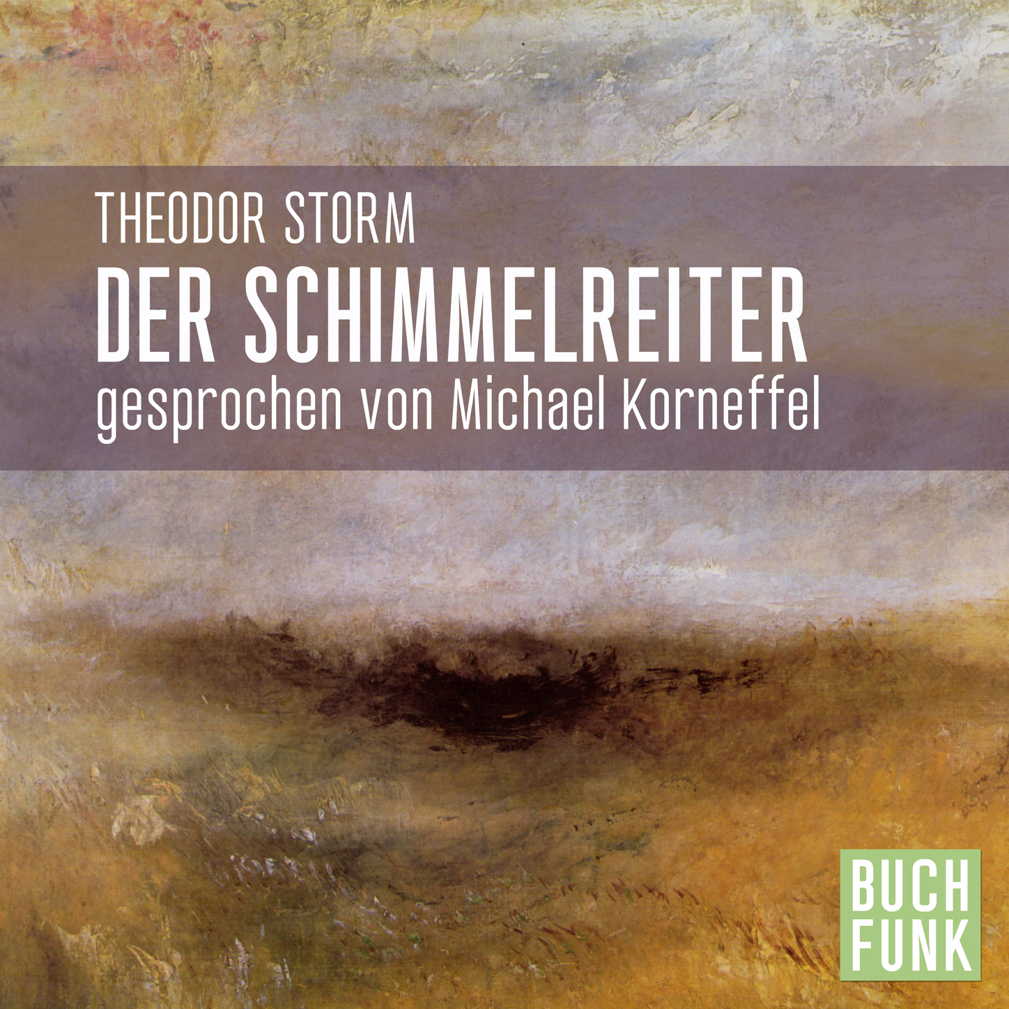 Обложка книги «Der Schimmelreiter (Ungekürzt)»