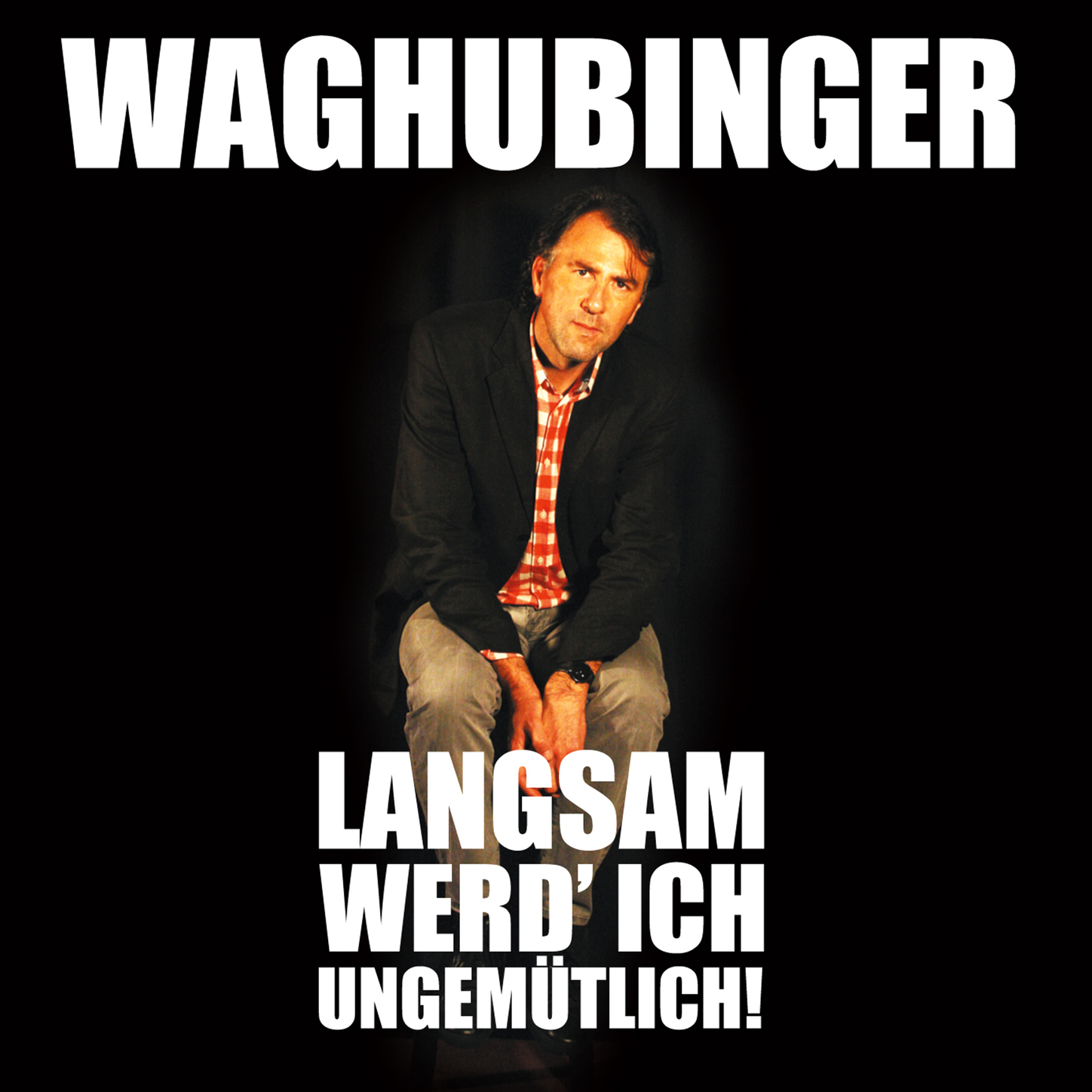 Обложка книги «Stefan Waghubinger, Langsam werd' ich ungemütlich!»
