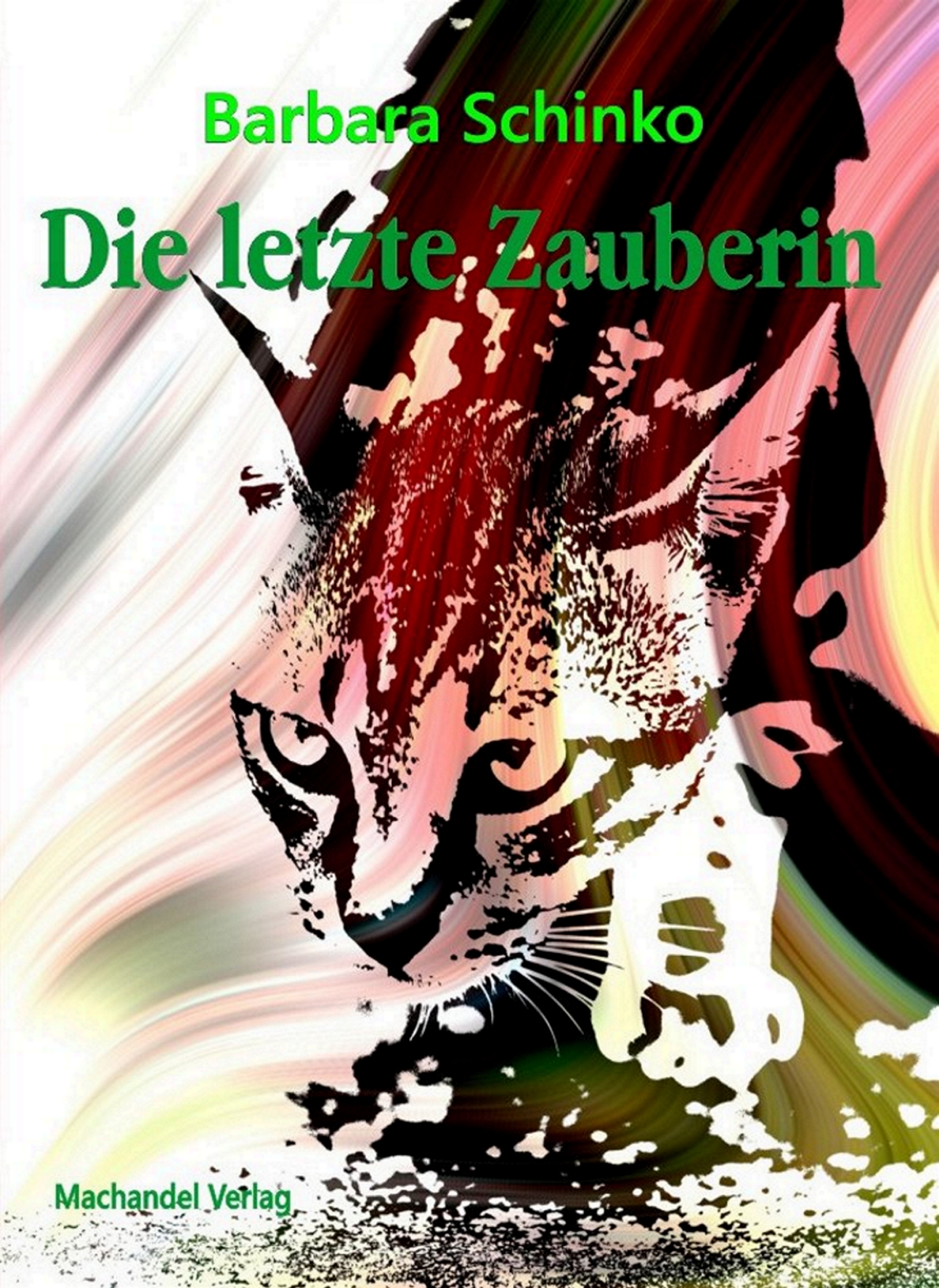 Обложка книги «Die letzte Zauberin»