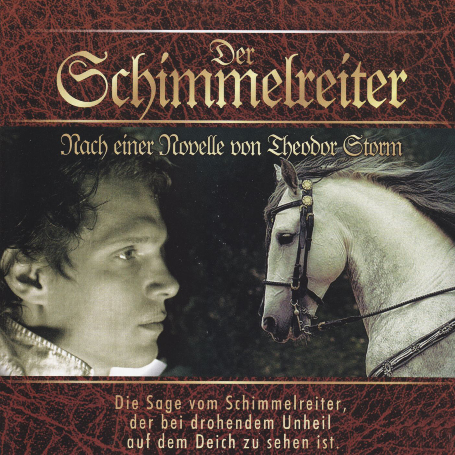 Обложка книги «Der Schimmelreiter»