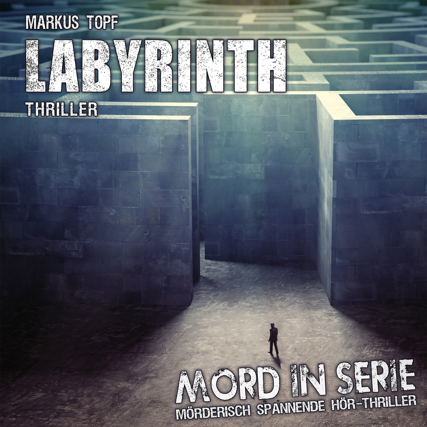 Обложка книги «Mord in Serie, Folge 24: Labyrinth»