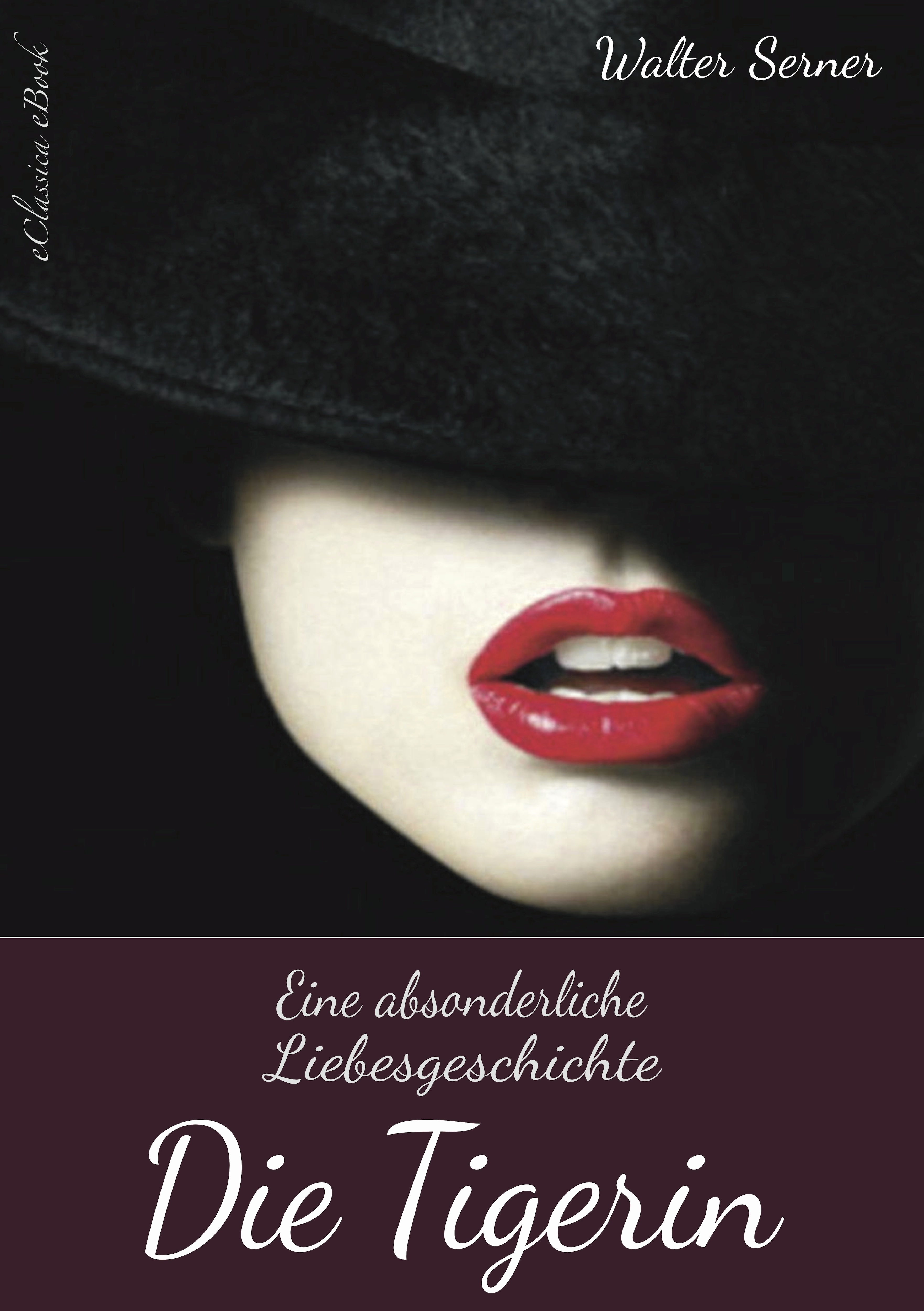Обложка книги «Die Tigerin – Eine absonderliche Liebesgeschichte»