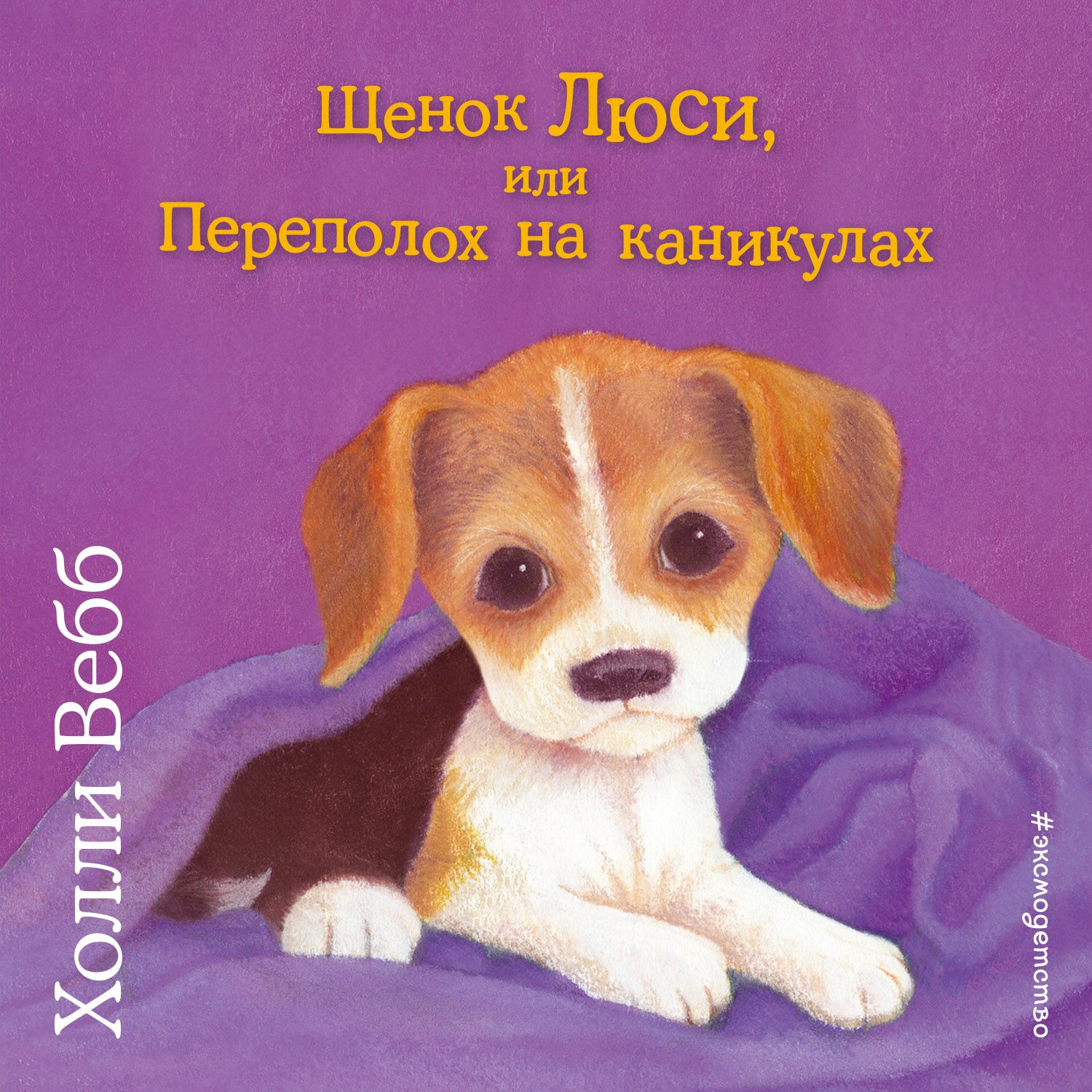 Обложка книги «Щенок Люси, или Переполох на каникулах»