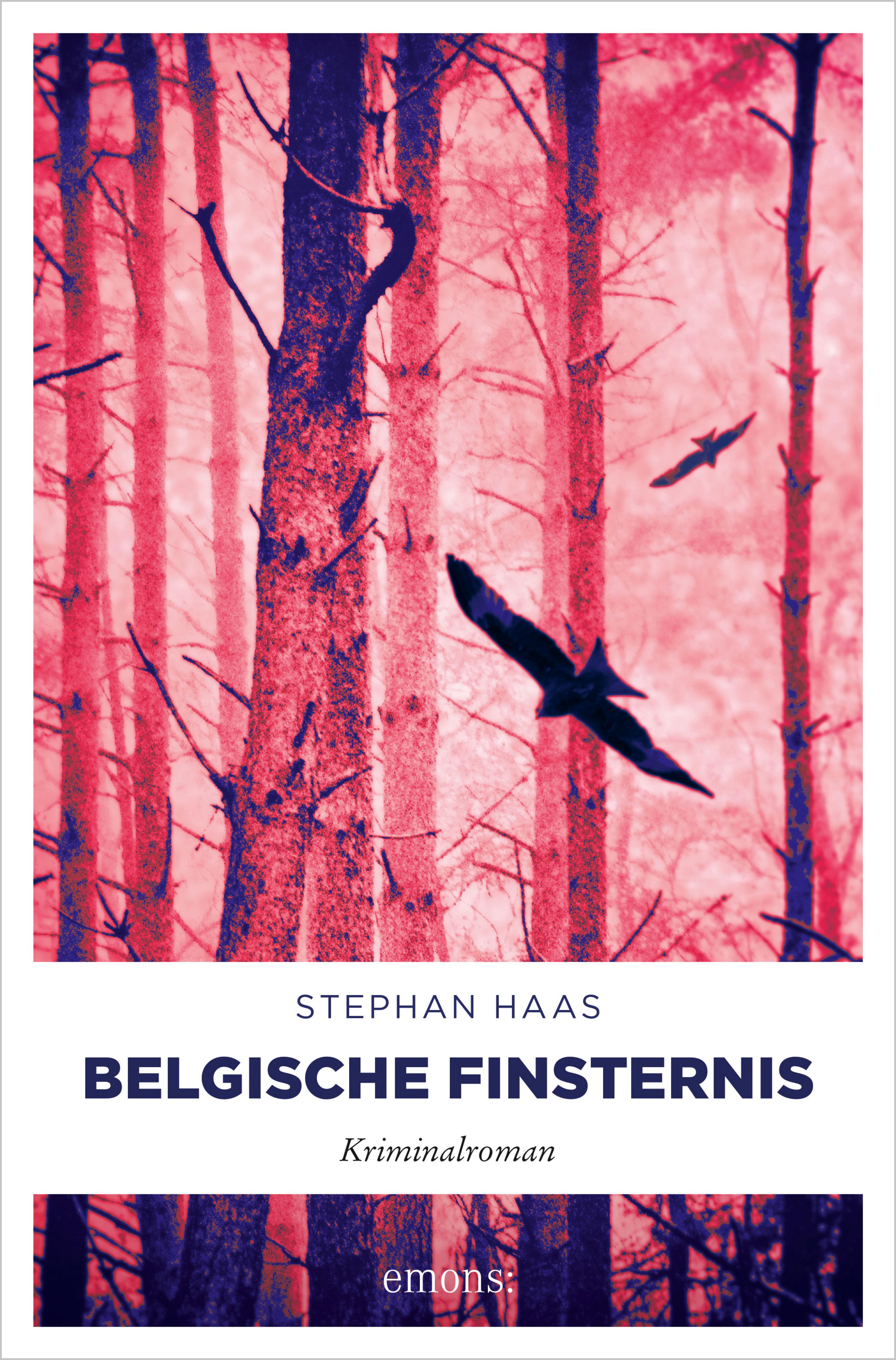 Обложка книги «Belgische Finsternis»