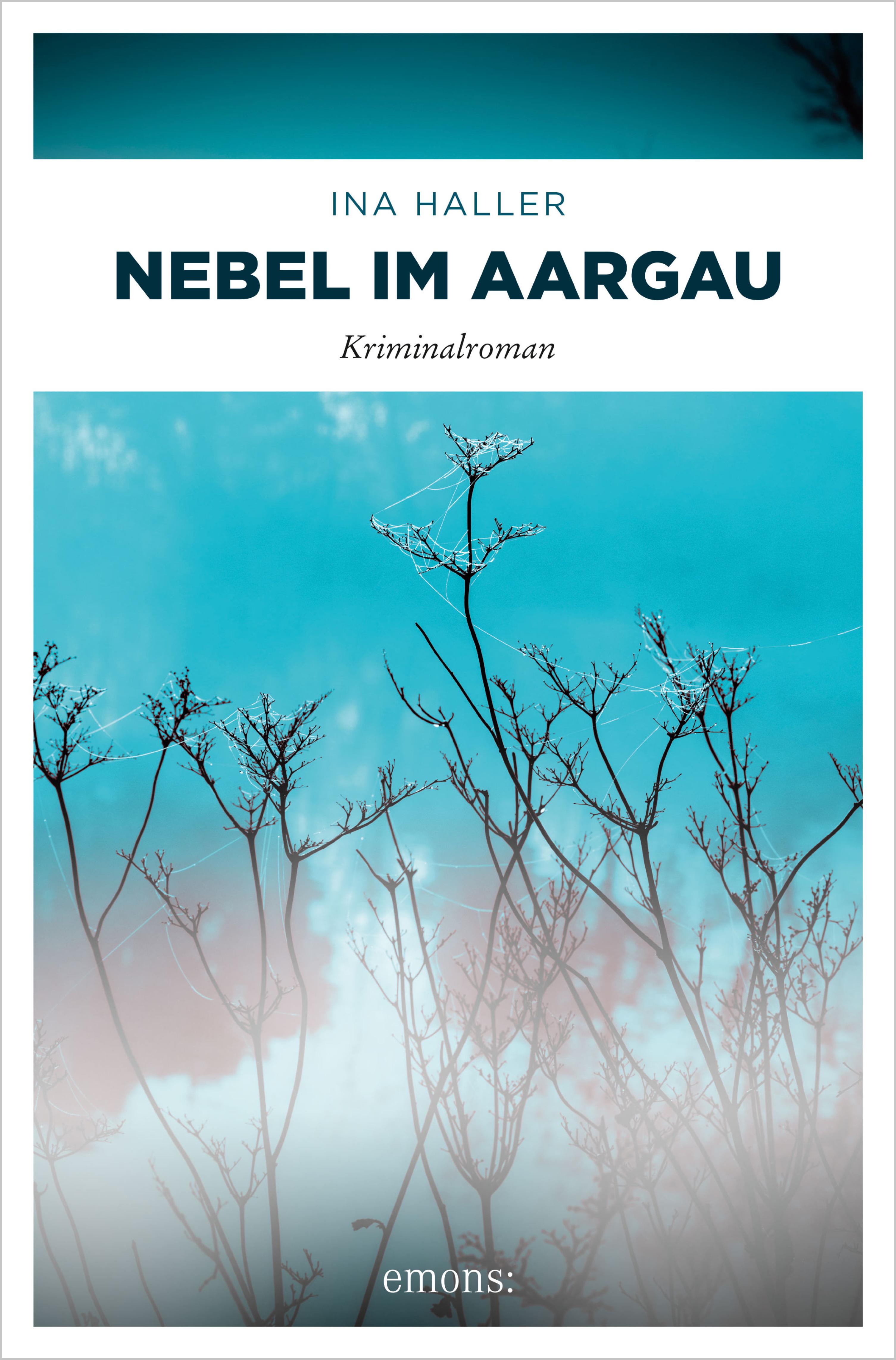 Обложка книги «Nebel im Aargau»