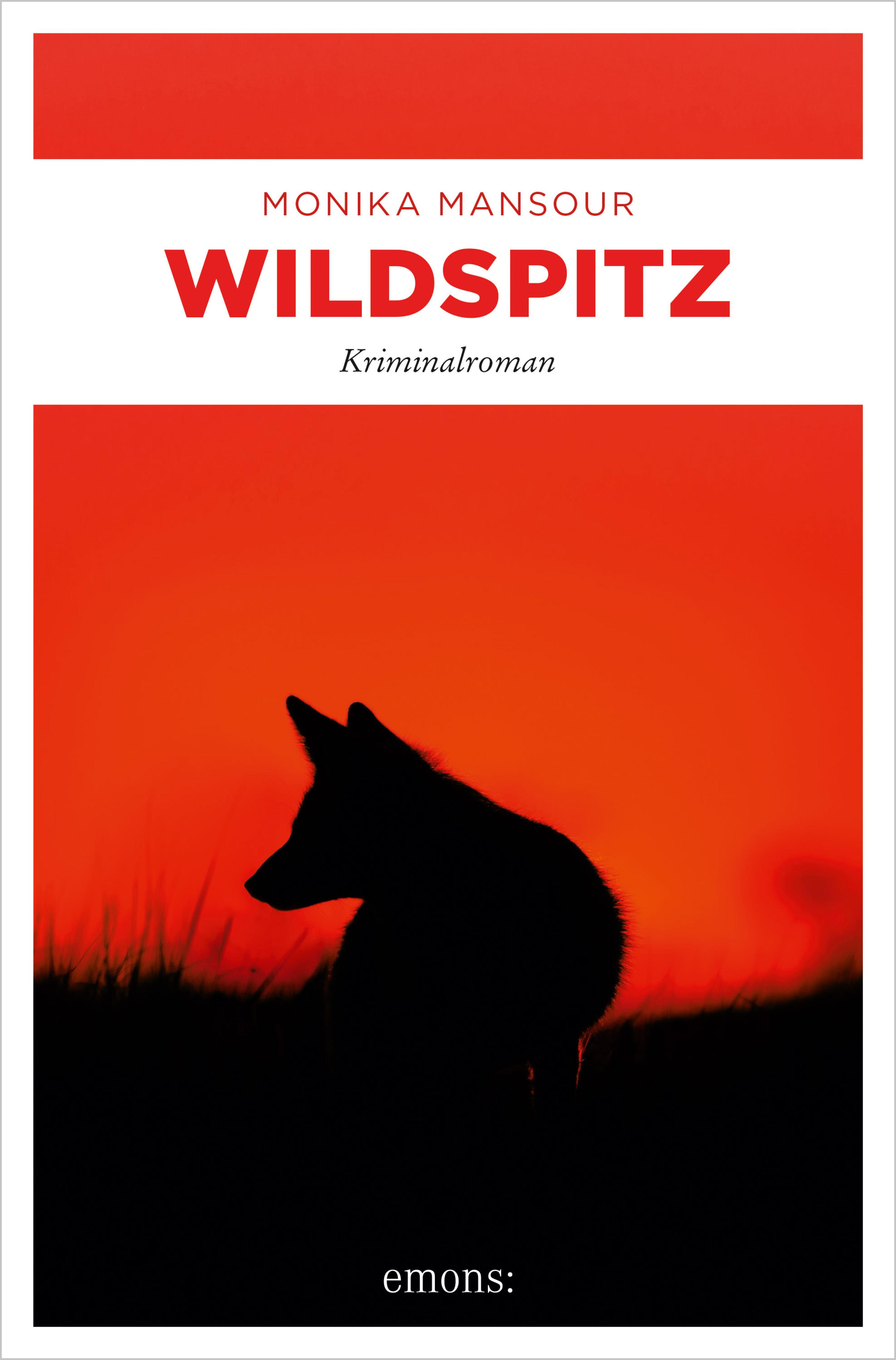 Обложка книги «Wildspitz»