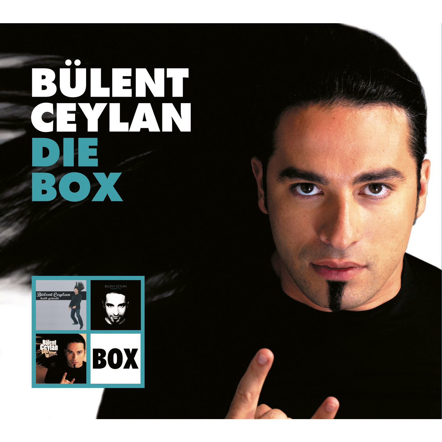 Обложка книги «Die Box (ungekürzt)»