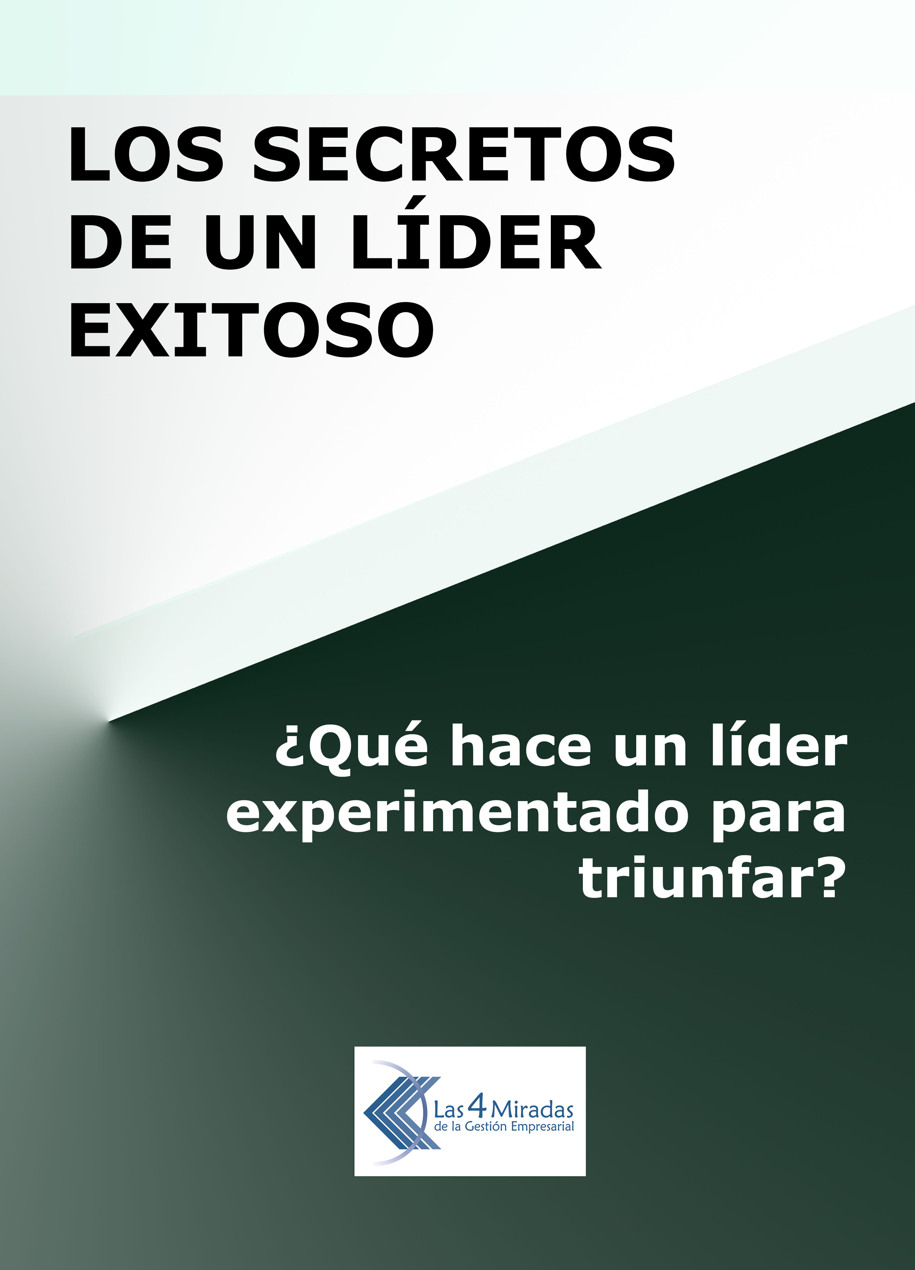 Обложка книги «Los secretos de un líder exitoso»