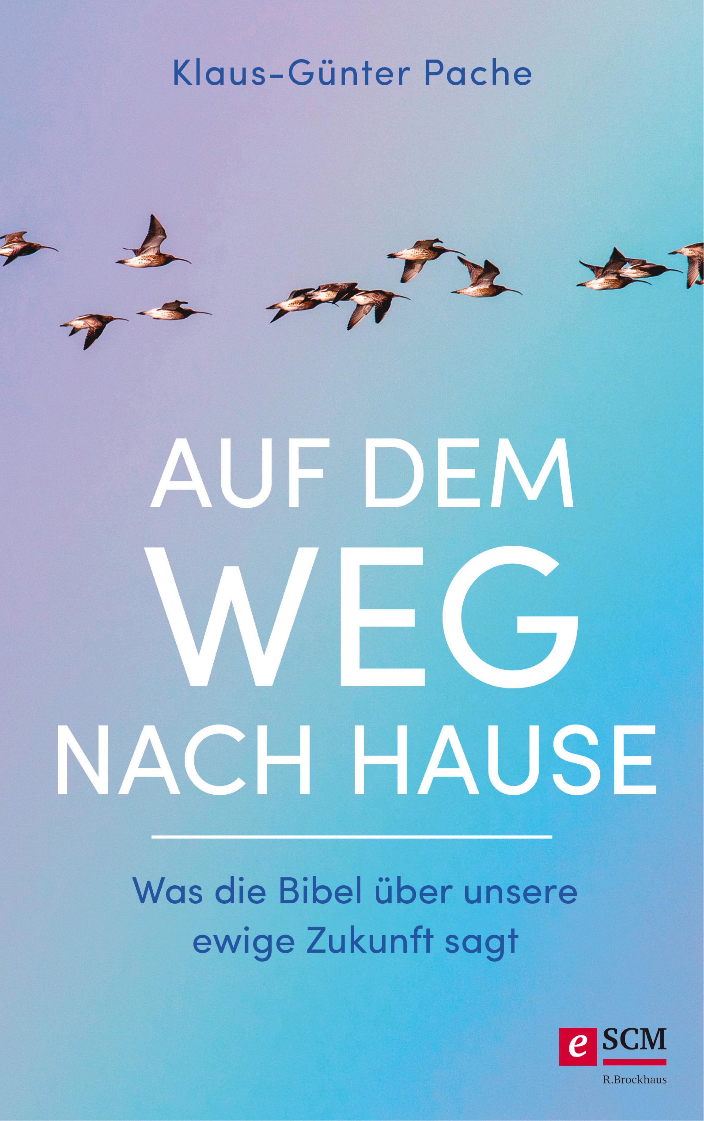 Обложка книги «Auf dem Weg nach Hause»