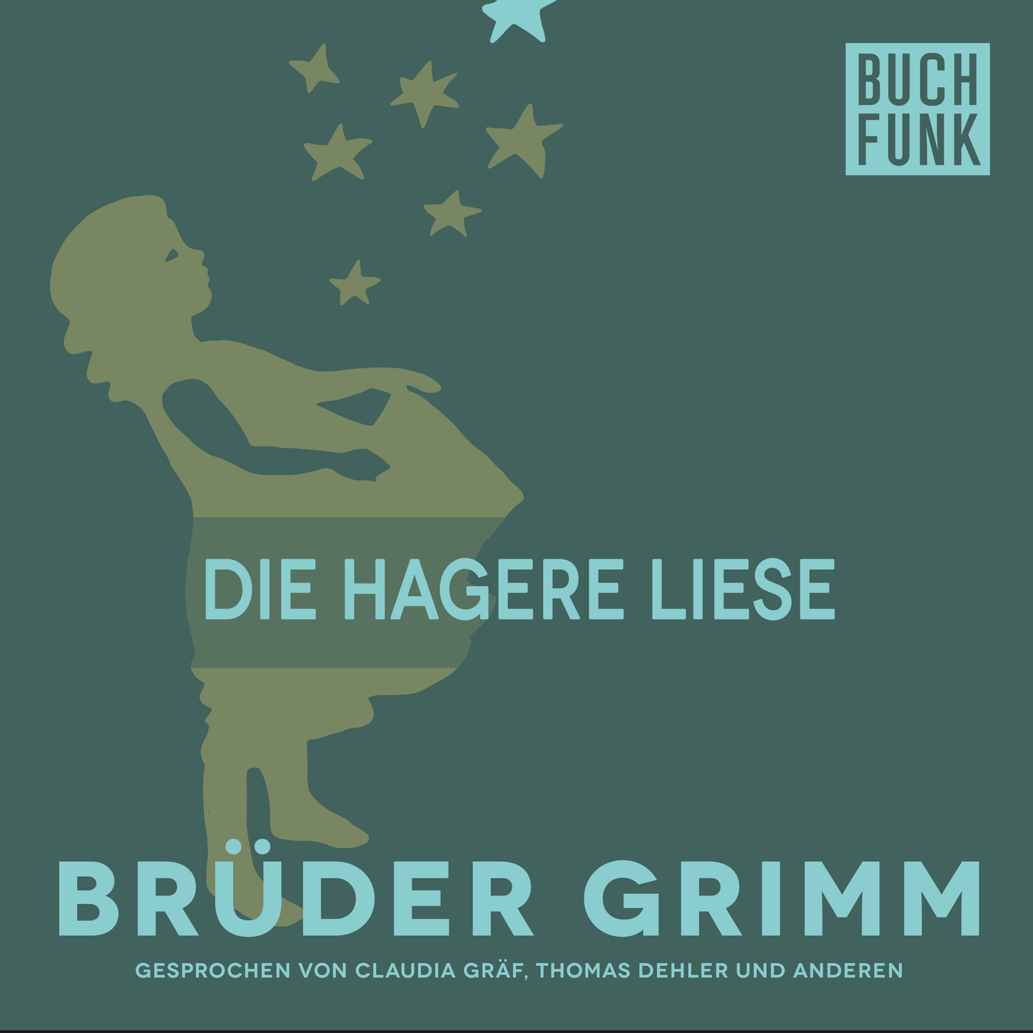 Обложка книги «Die hagere Liese»