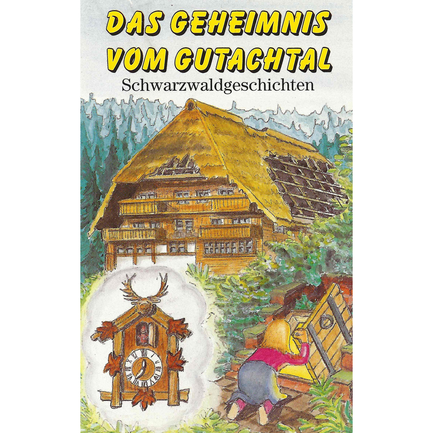 Обложка книги «Das Geheimnis vom Gutachtal»