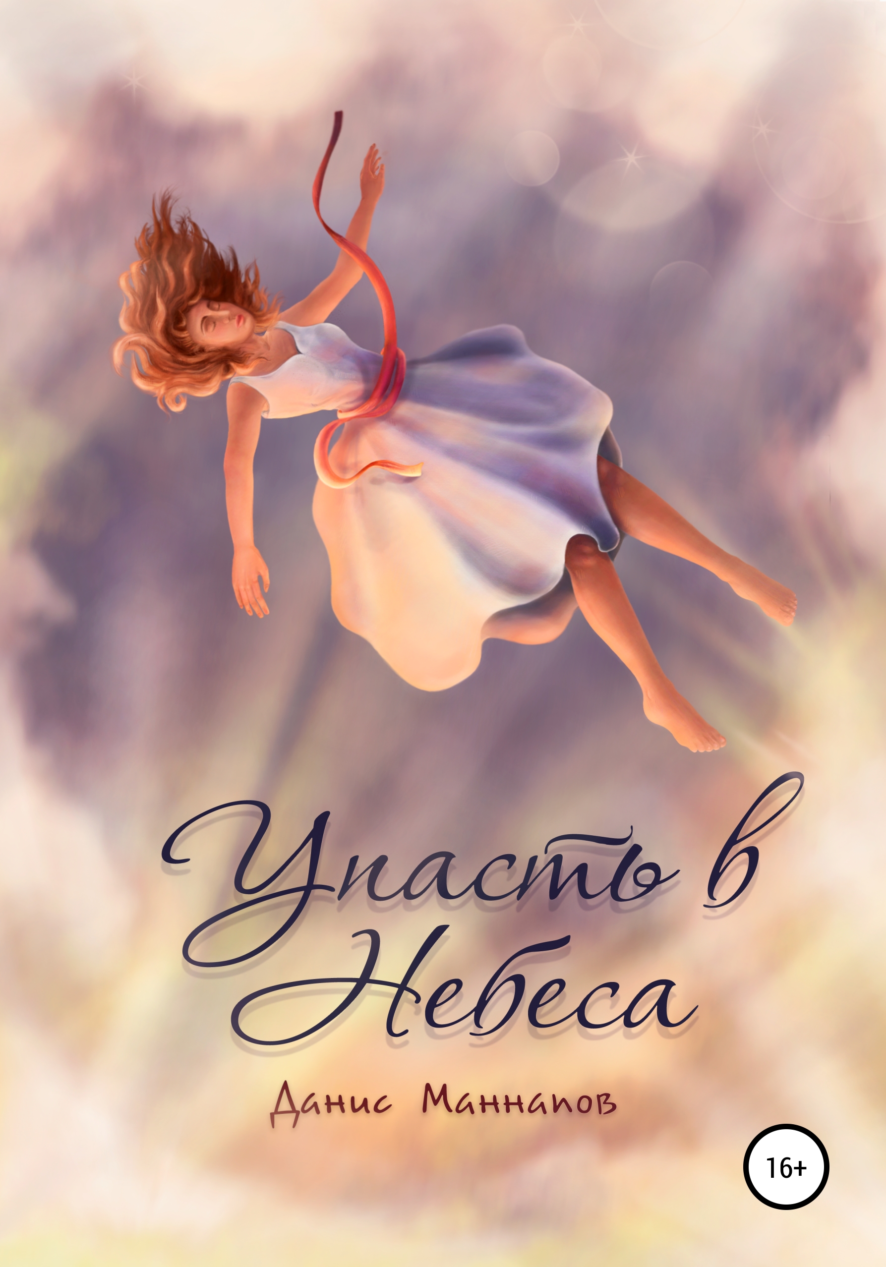 Обложка книги «Упасть в Небеса»