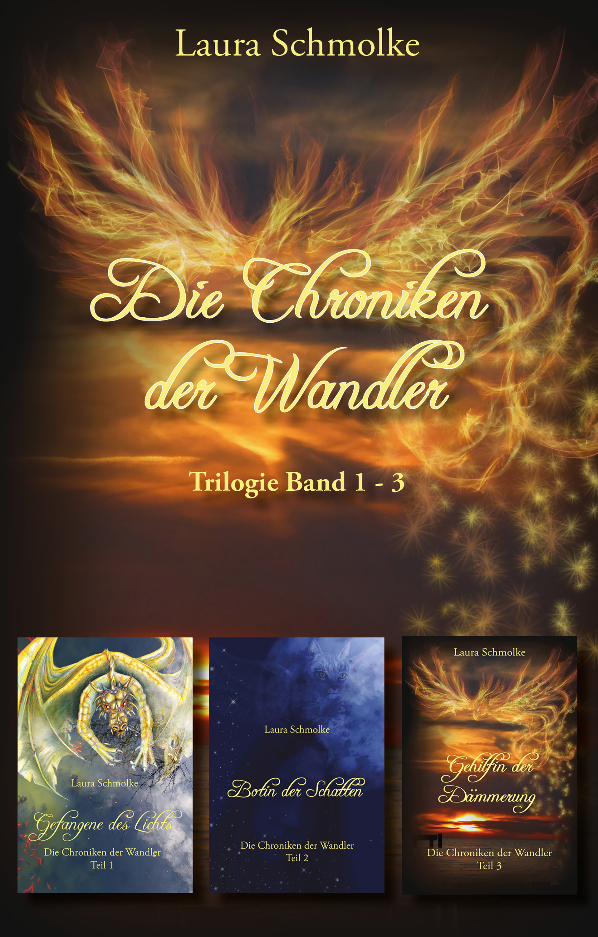 Обложка книги «Die Chroniken der Wandler»