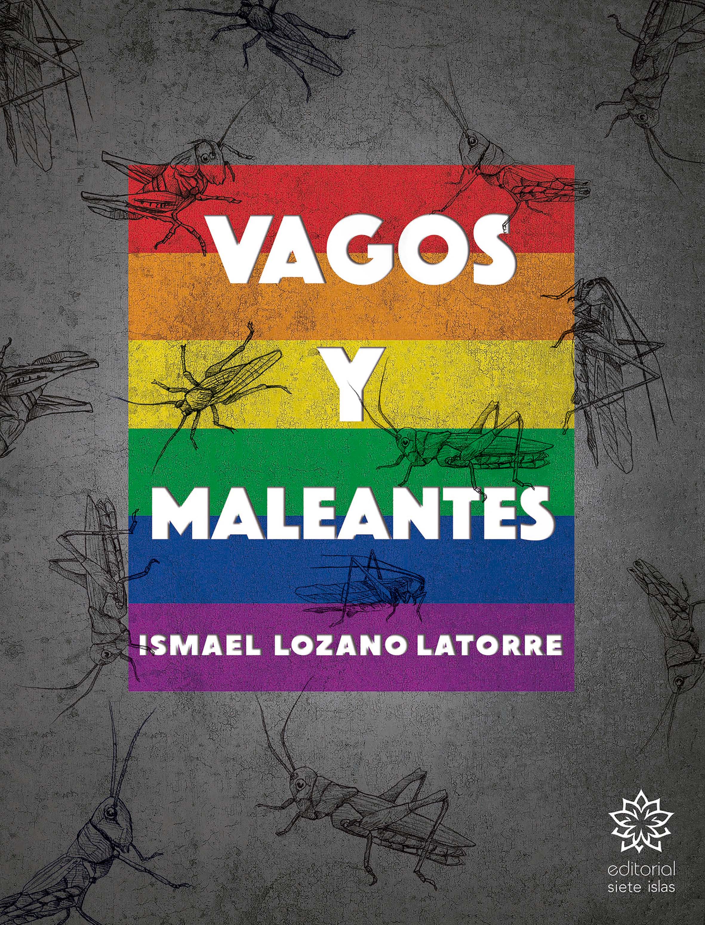 Обложка книги «Vagos y maleantes»