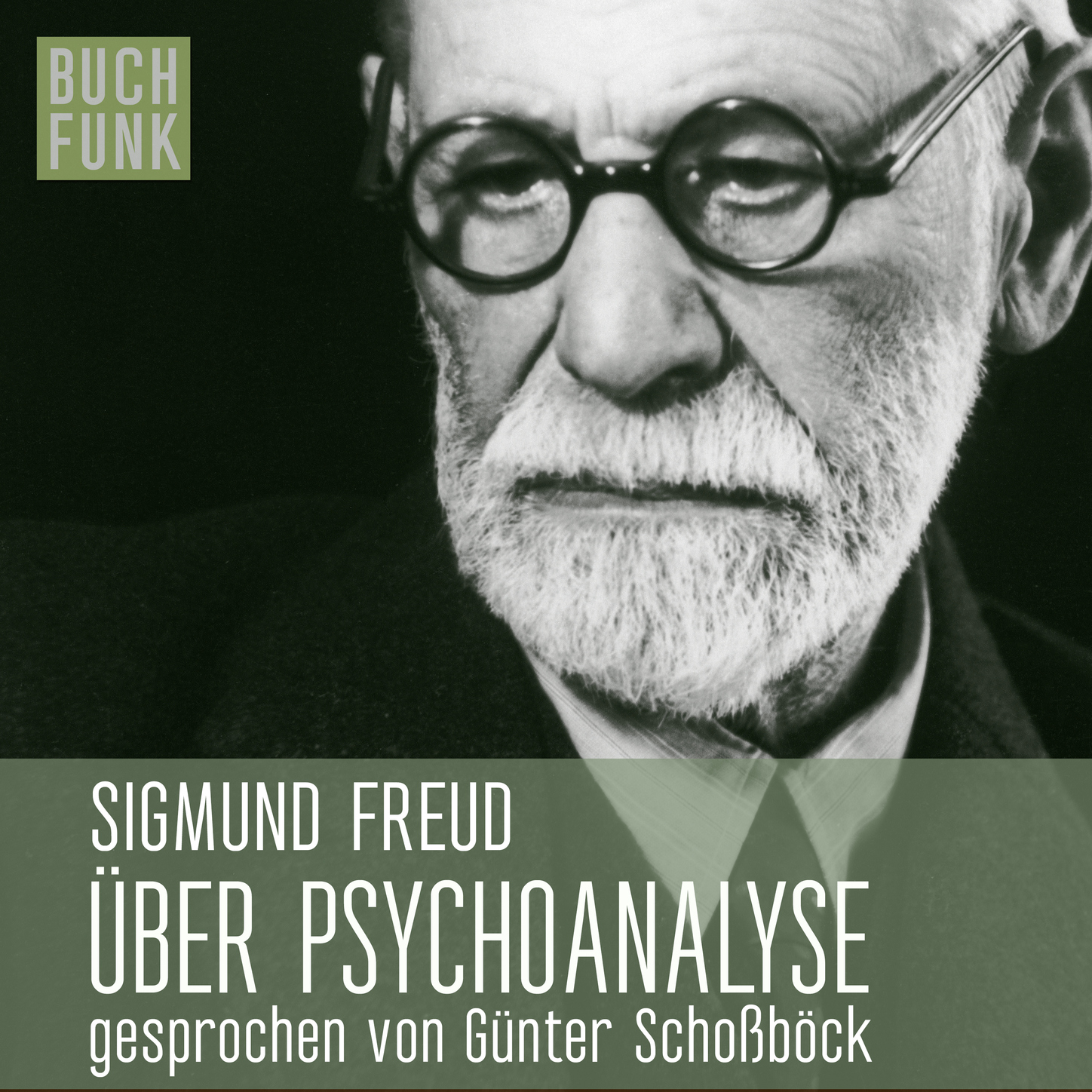 Обложка книги «Über Psychoanalyse - fünf Vorlesungen»