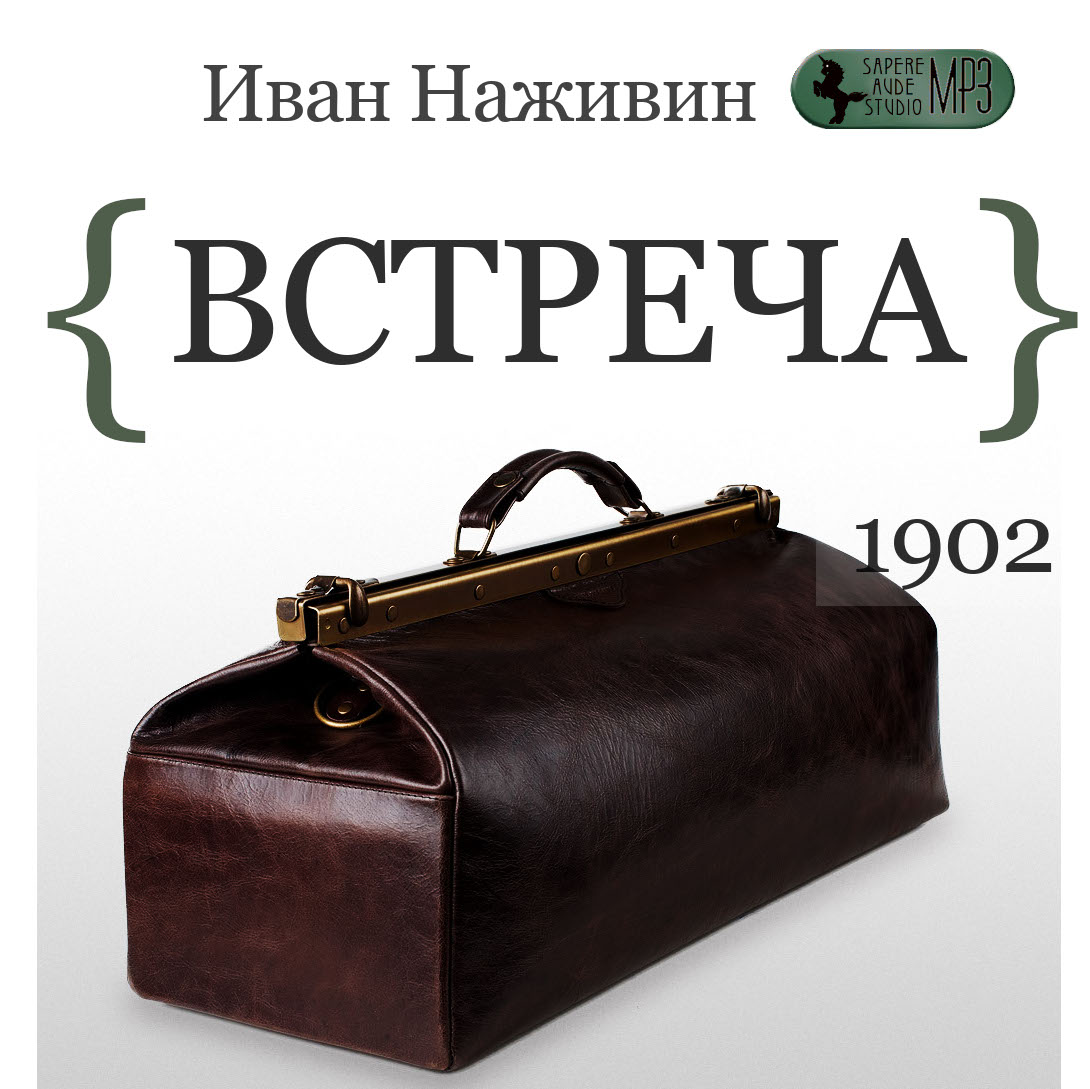 Обложка книги «Встреча»