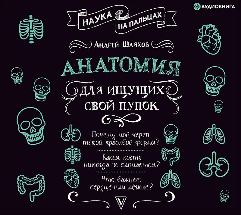 Обложка книги «Анатомия для ищущих свой пупок»