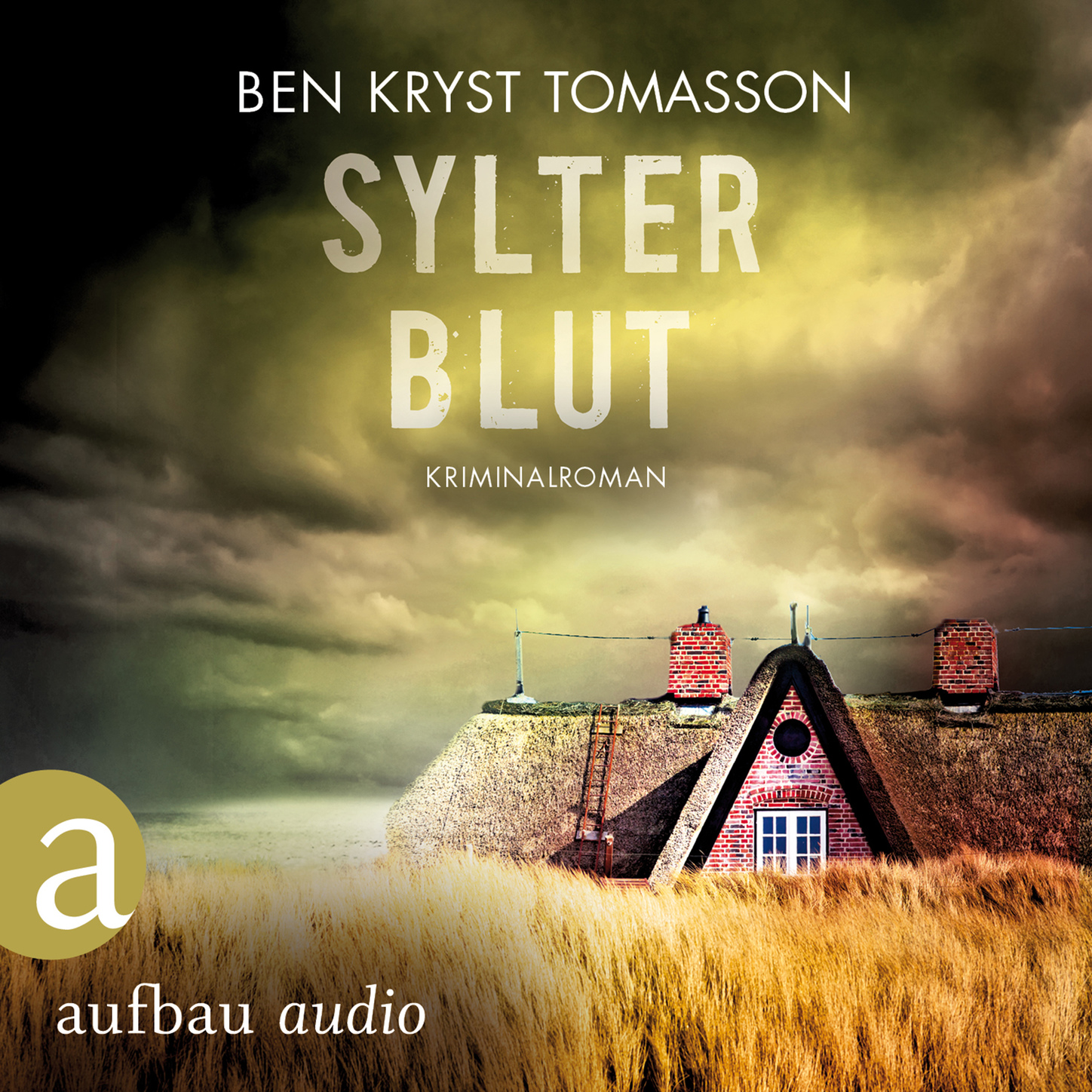 Обложка книги «Sylter Blut - Kari Blom ermittelt undercover, Band 3 (Ungekürzt)»