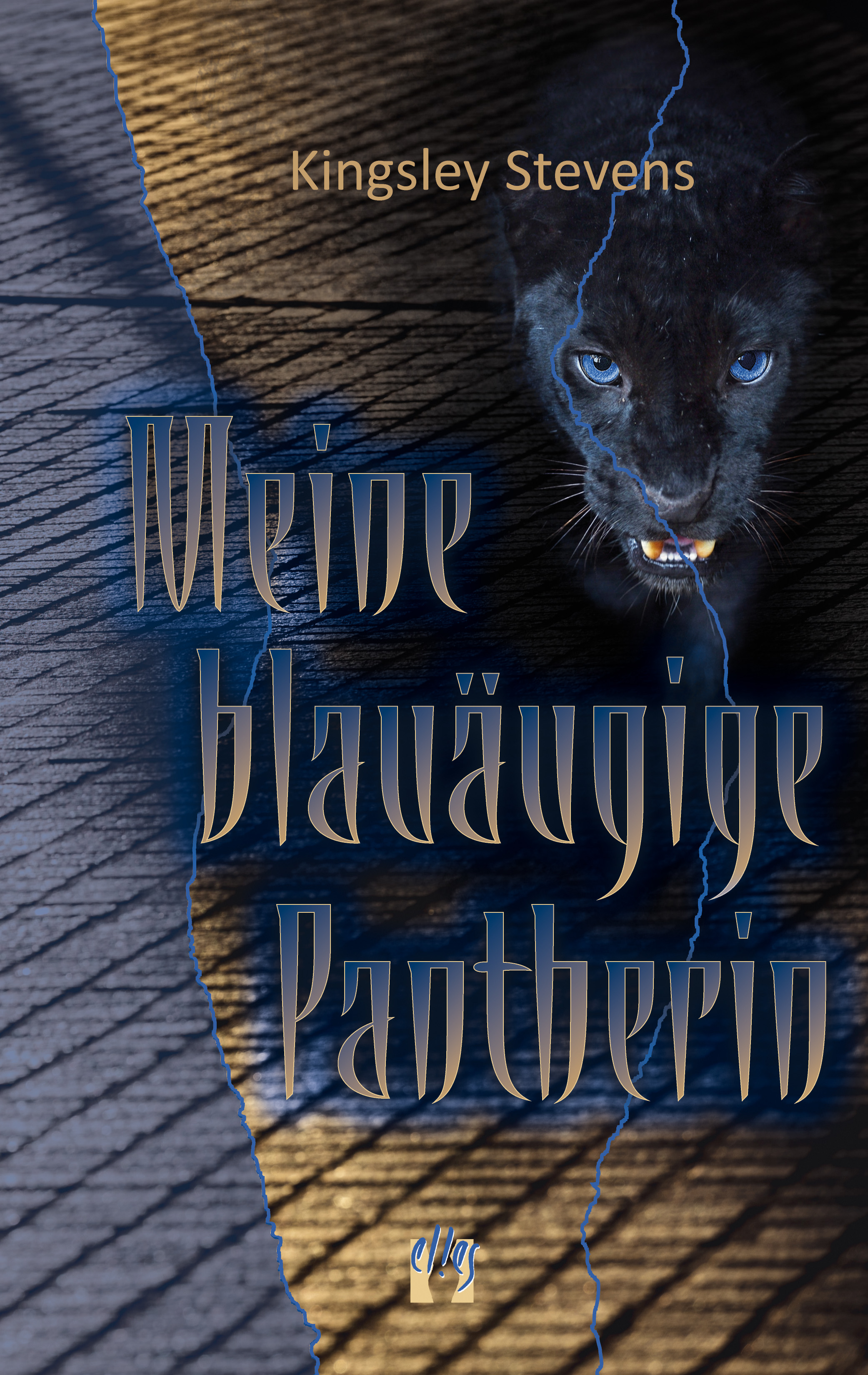 Обложка книги «Meine blauäugige Pantherin»