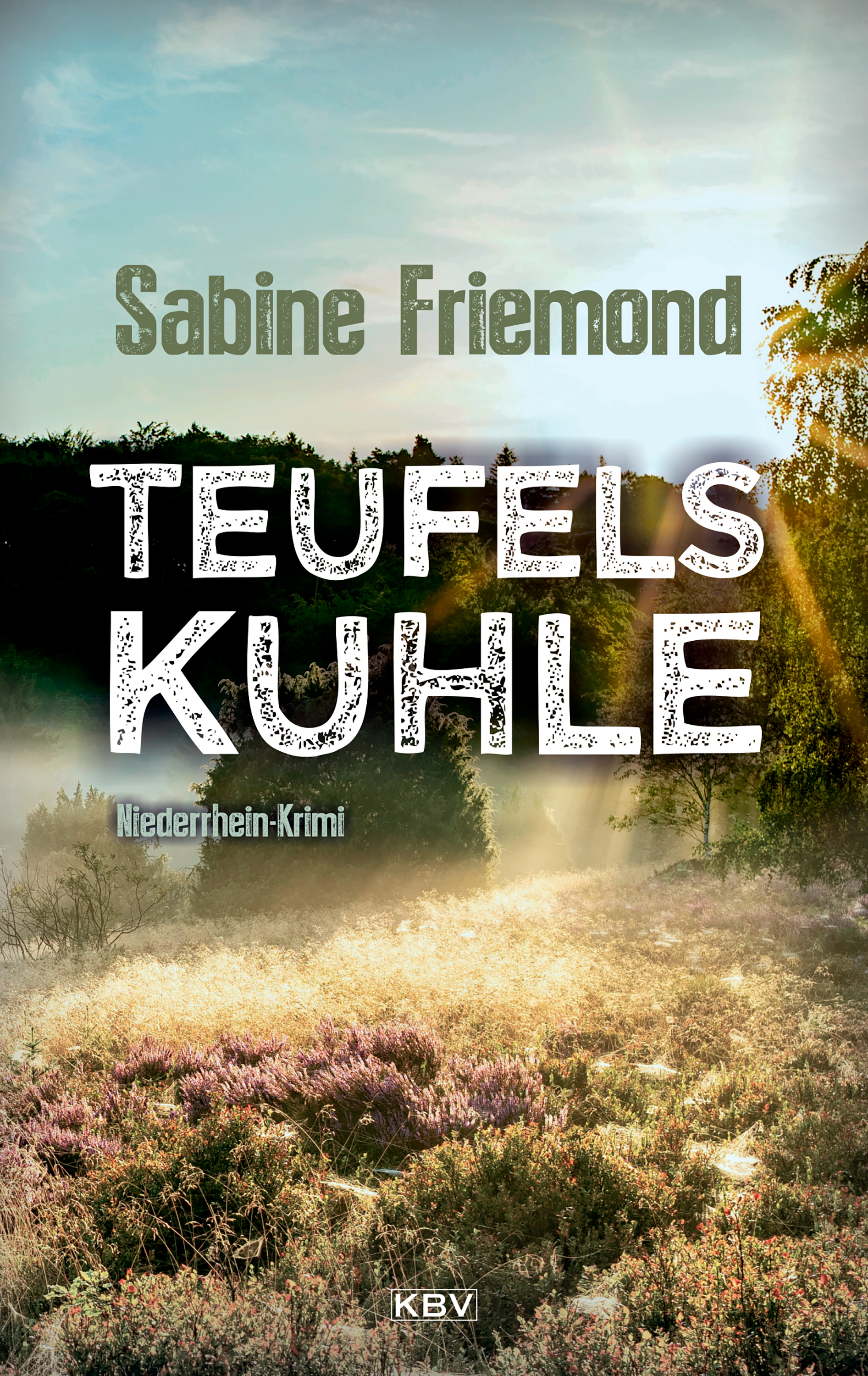 Обложка книги «Teufelskuhle»