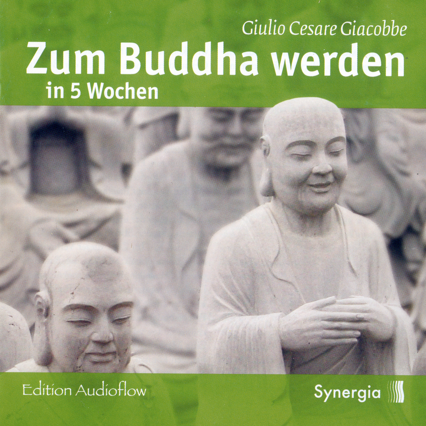 Обложка книги «Zum Buddha werden in 5 Wochen, Episode 2»
