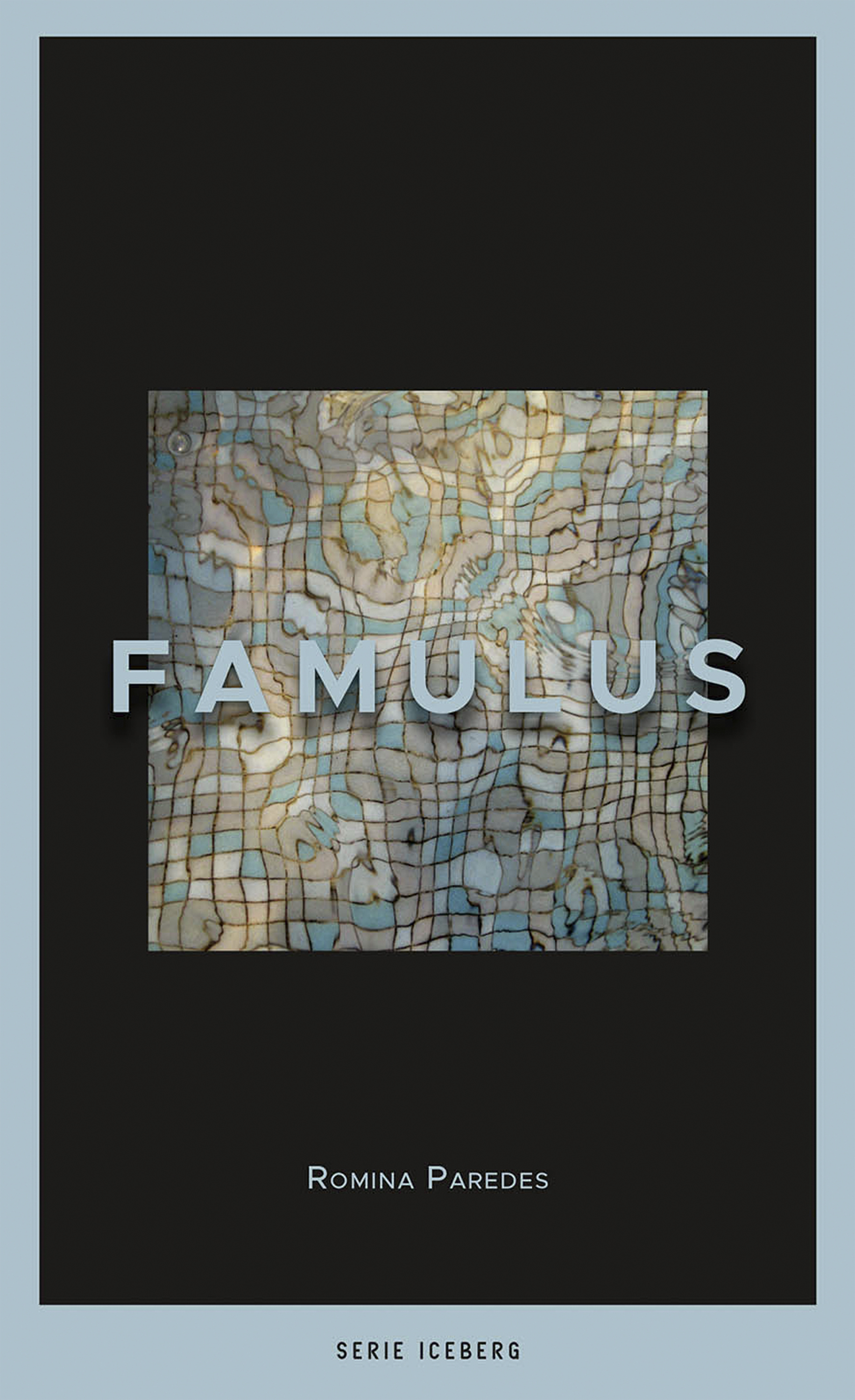 Обложка книги «Famulus»