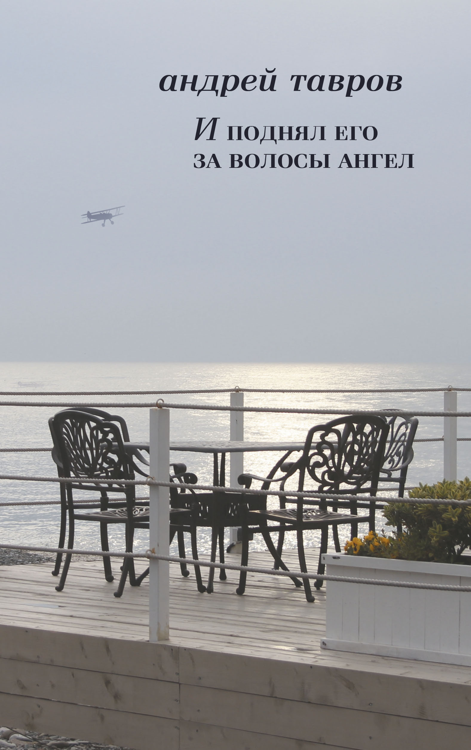 Обложка книги «И поднял его за волосы ангел»