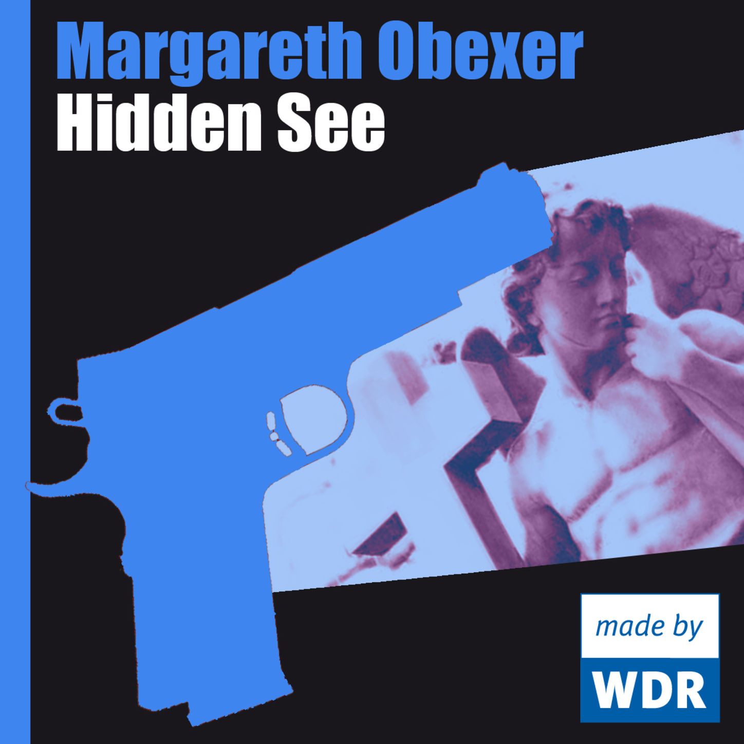 Обложка книги «Hidden See»