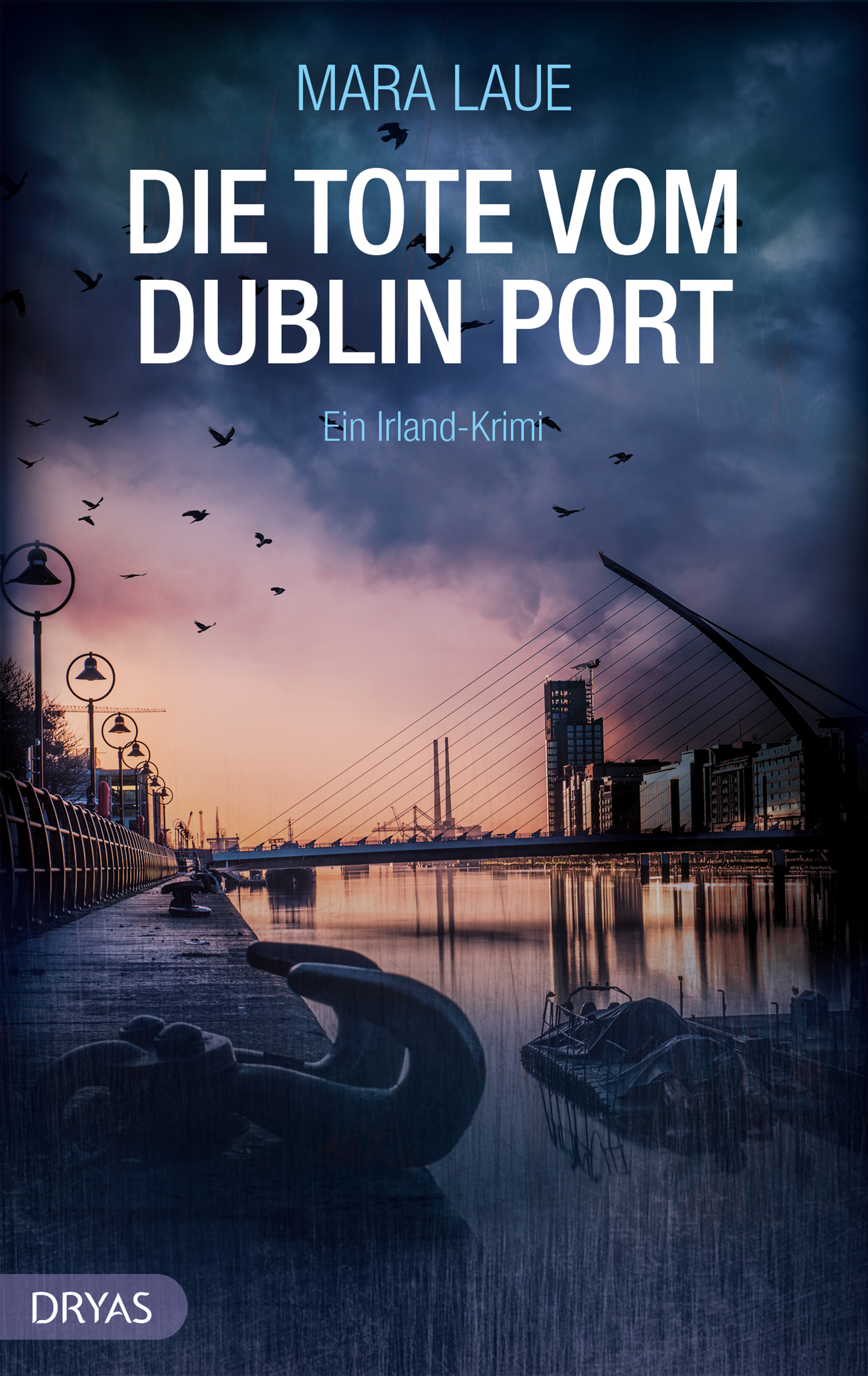 Обложка книги «Die Tote vom Dublin Port»