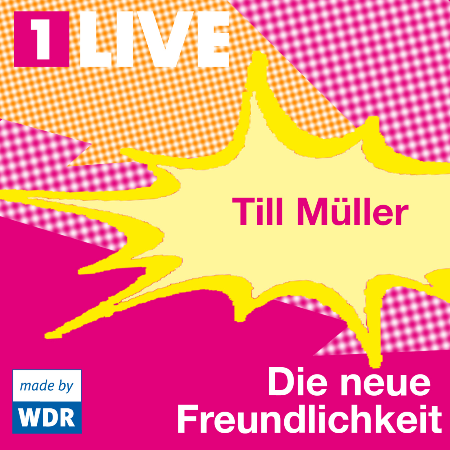 Обложка книги «Die neue Freundlichkeit»