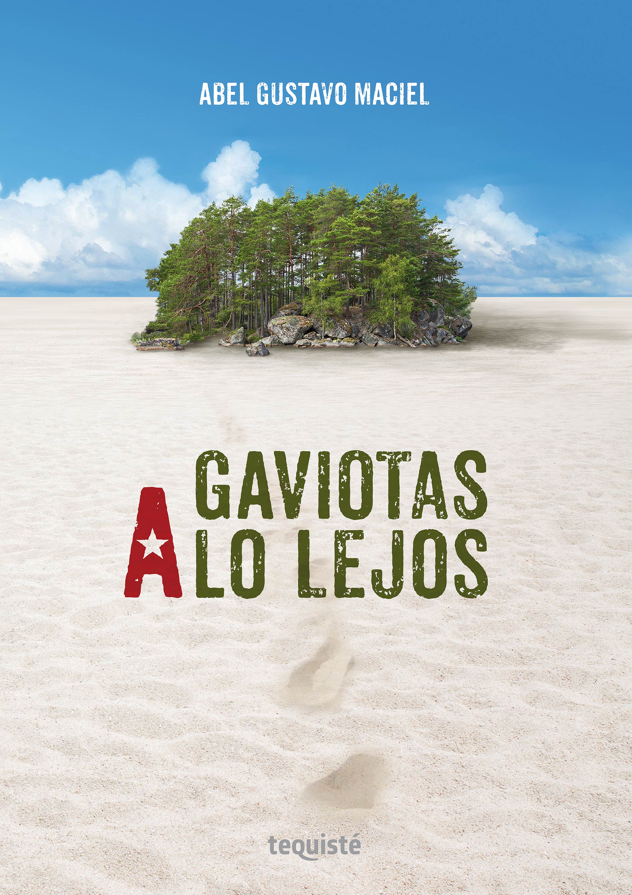 Обложка книги «Gaviotas a lo lejos»