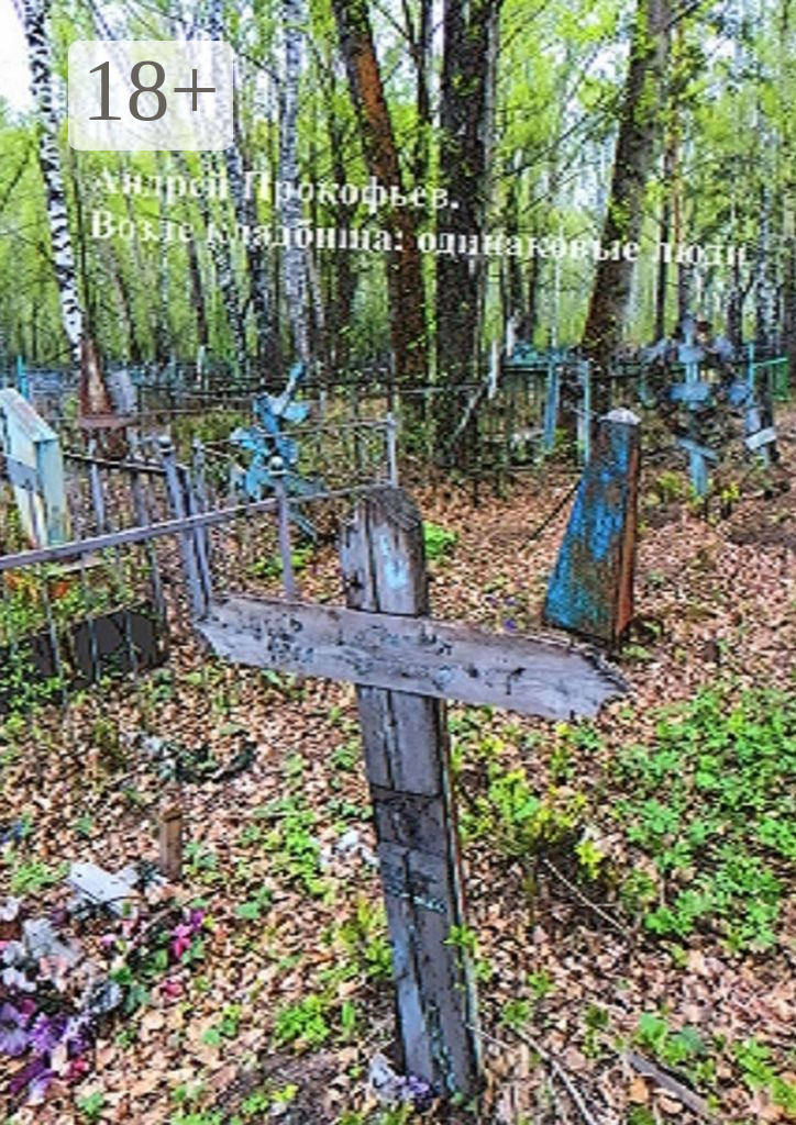 Обложка книги «Возле кладбища: одинаковые люди»