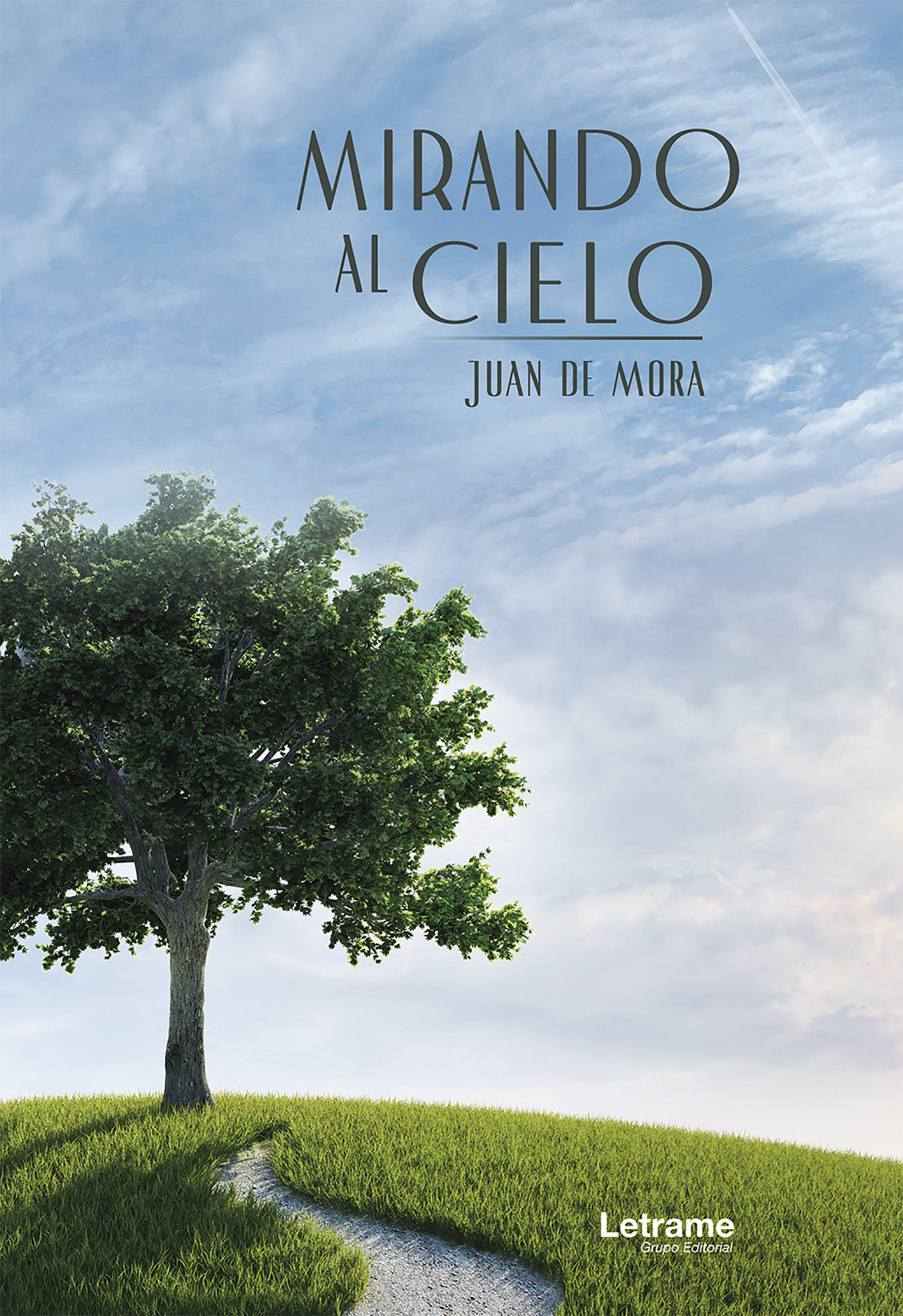 Обложка книги «Mirando al cielo»